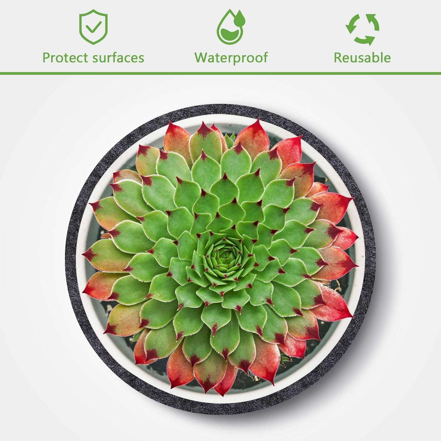 9 Pack Plant Coaster Mat Saucer Reversible Absorbent,Durable Plant Tray Flower Pot Saucers for Indoors and Outdoor,8/10/12 Inch,3 Pcs of Each Size (Grey)&hellip; (8'' 10''12''(Set of 9))