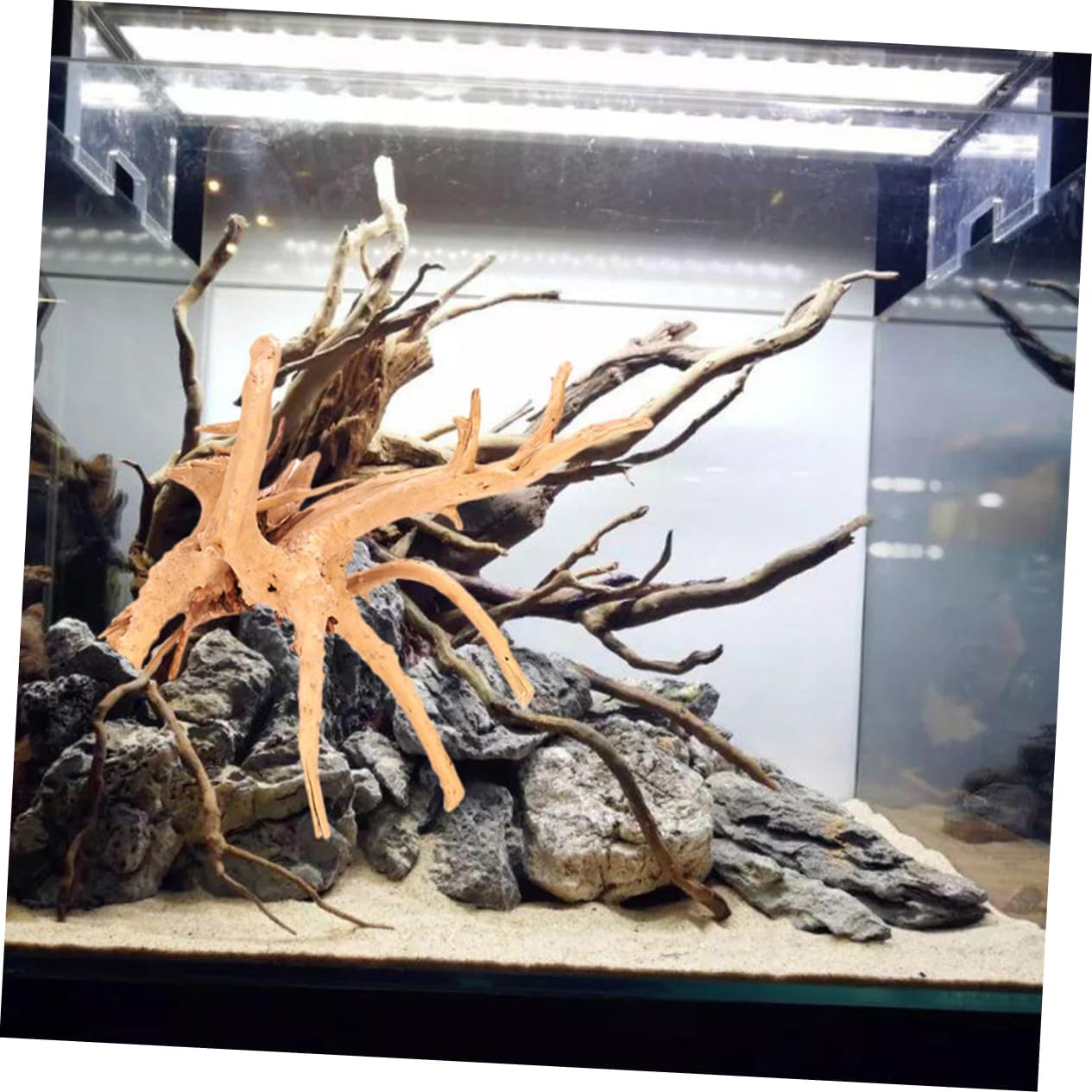 TOGEVAL 2Pcs Natural Driftwood Aquarium Decor Reptile Tank Wood Ornament for Fish Tanks Aquatic Beauty Easy to Install Versatile Aquarium and Reptile Decoration image number 1