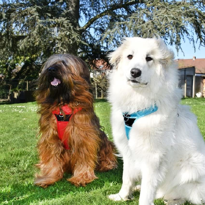 Bobby Rando Walk Dog Harness for Medium Small Large Dogs Nylon Safe Comfortable Reflective Adjustable Red S/32-48 X 1.6Cm image number 5