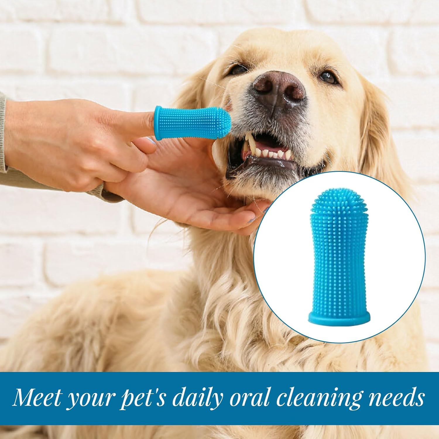 Dog Toothbrush, Cat Toothbrush, Dog Brush Kit with 2 Triple Head Dog Toothbrushes, 2 Long Handle Dog Toothbrushes, 4 Pcs Pet Fingerbrush, Pet Teeth Brush for Dogs Cat Puppy Most Pets