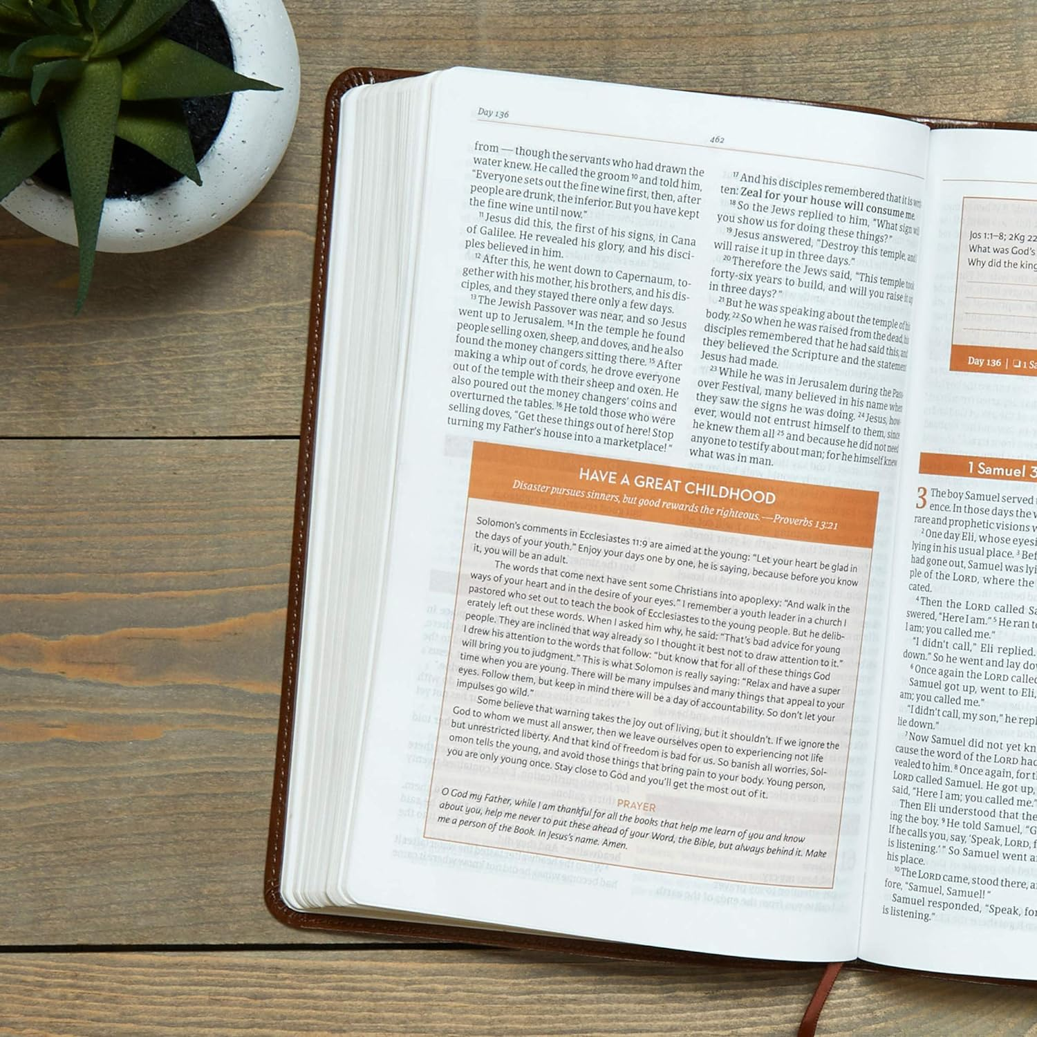 CSB Every Day with Jesus Daily Bible, Brown image number 2