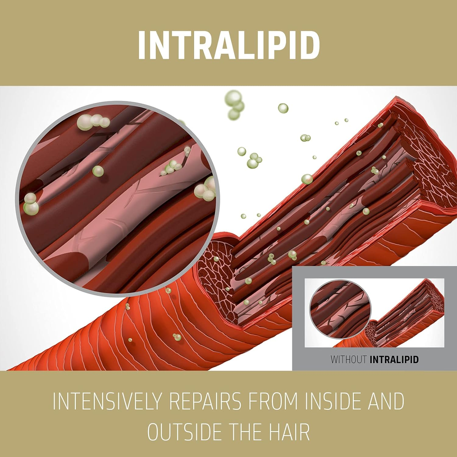 Goldwell Dualsenses Rich Repair 60 Second Treatment 16.9Oz, 598.74 Grams image number 2