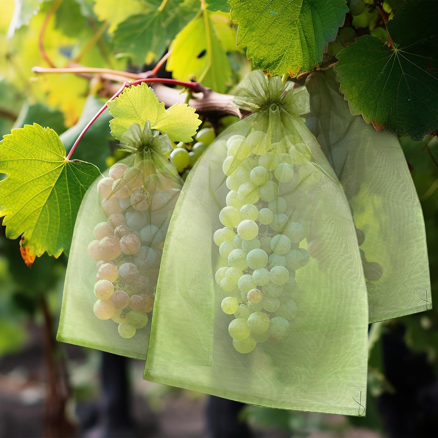 50 PCS 8X12 Inches Fruit Protection Bags, Fruit Bags for Fruit Trees, Green Netting Fruit Cover Bags Drawstring Mesh Fruit Protectors Pest Barrier for Fruit Trees Veggies Garden image number 4