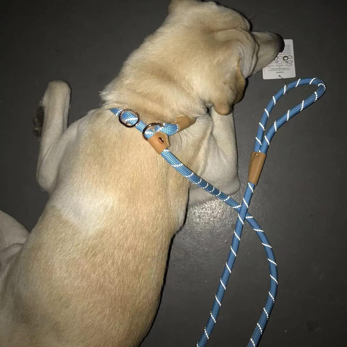 6FT Reflective Rope Slip Leash for Dogs, Slip on Leash Large Dogs, Slip Lead Dog Loop Leash for Large Medium Dogs - Beige image number 4