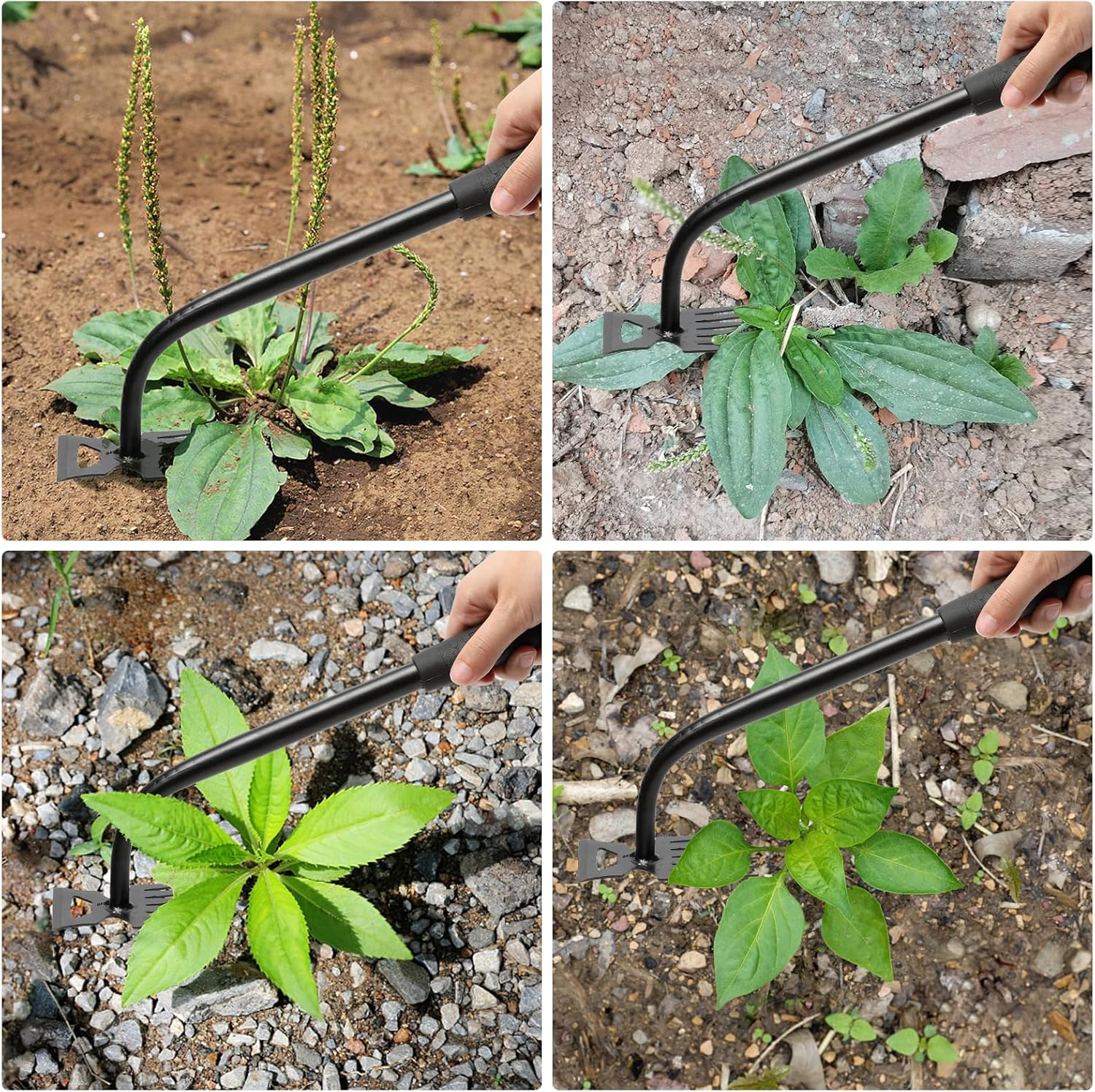 Gardening Hand Weeder Tools, Weeding Artifact Uprooting Weeding Tool, Durable Manganese Steel Hand Weeder Tool, Manual Multifunctional Weeders Gardening Tools for Yard and Garden (6 Tines), 2 Pack image number 4