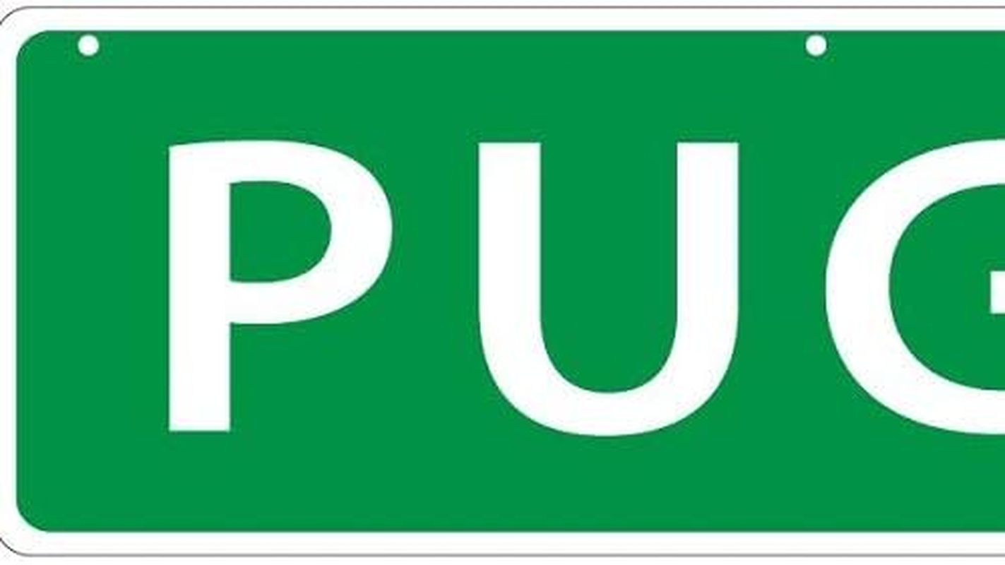 Imagine This Pug Street Sign image number 5