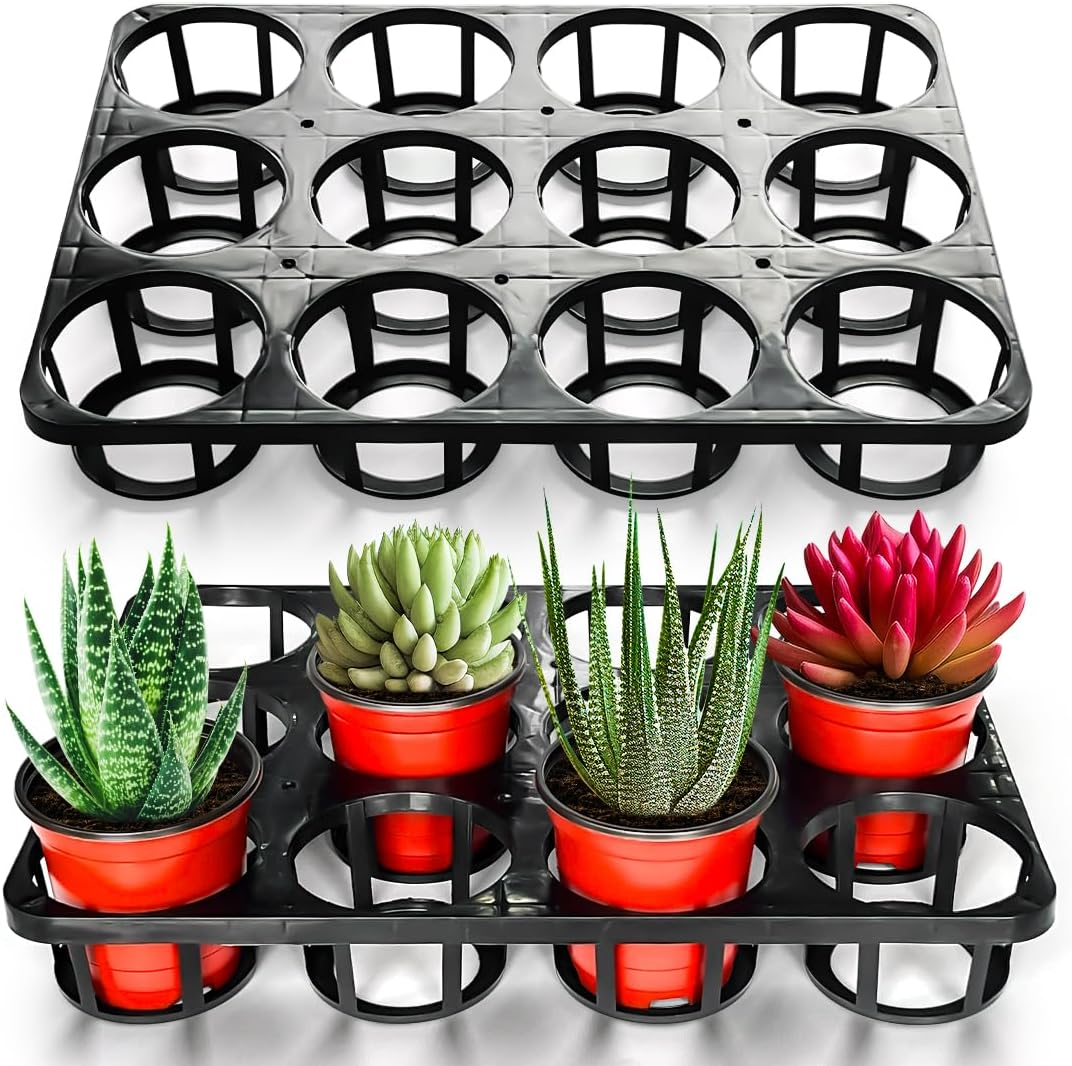 3.15 Inch (8CM) Square Nursery Pots 100 Pcs, Sturdy Seedlings Trays 5 Pcs, Seeds Starter Germination Tray, Microgreening Planter Nursery Propagation 5 Sets