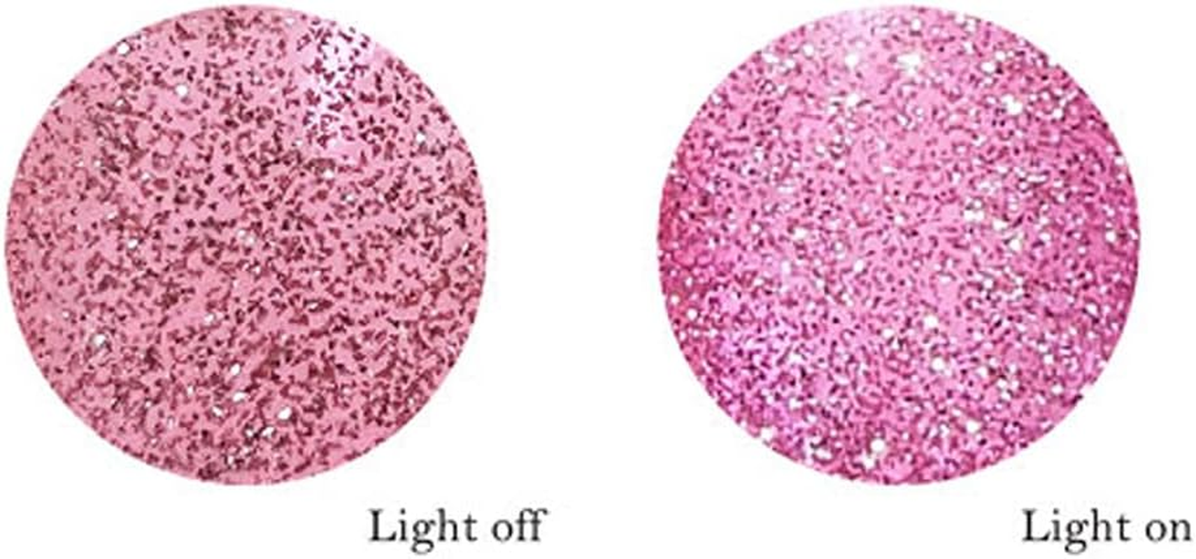 ICE GEL ABLACK Color Gel, Neon on off Gel, 4.6 Oz (1357 G), 0.1 Oz (3 G), UV/LED Compatible image number 2