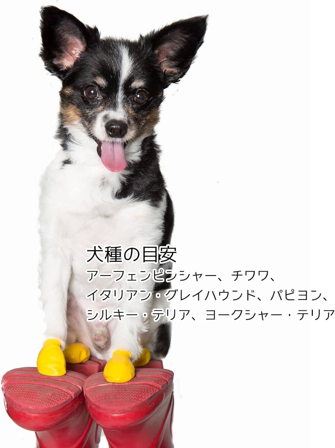 PAWZ Rubber Dog Boots Japanese Limited Package Black XXS Size X 12 Pieces image number 2