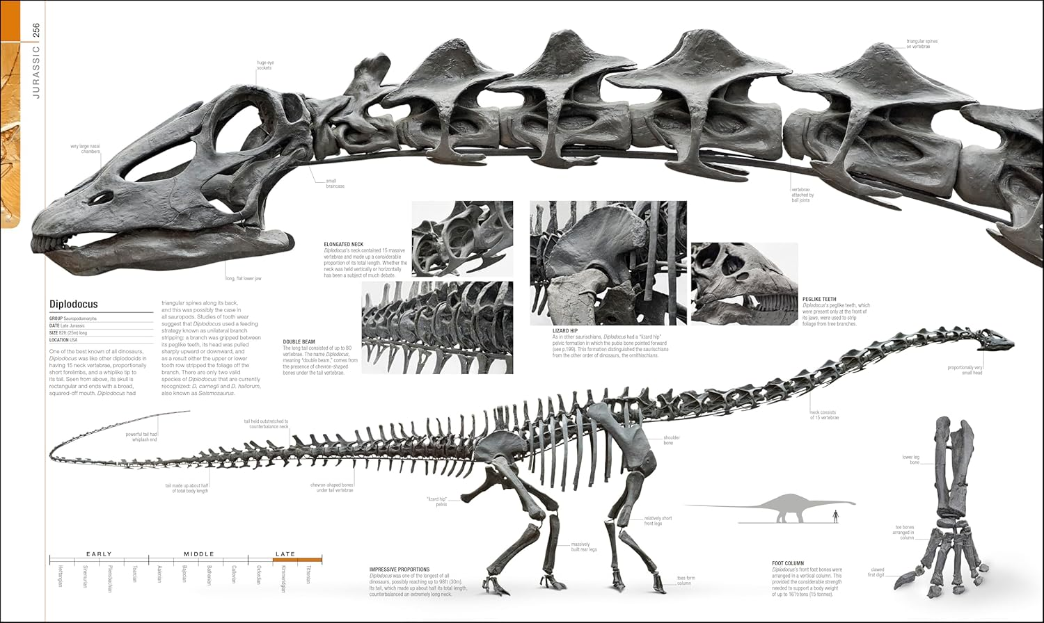 Dinosaurs and Prehistoric Life: the Definitive Visual Guide to Prehistoric Animals image number 5