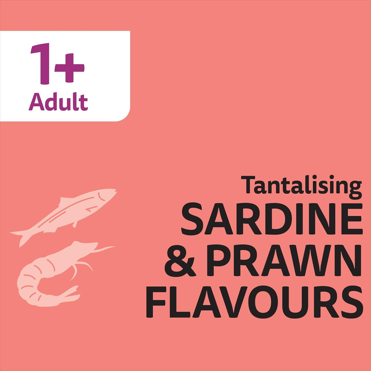 Whiskas Sardine and Prawn Adult Dry Cat Food 800 G Bag, 6 Pack image number 1