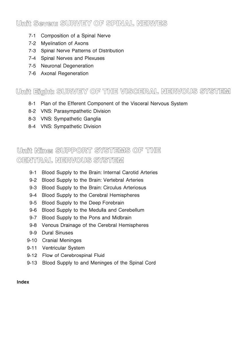 Human Brain Coloring Book image number 5