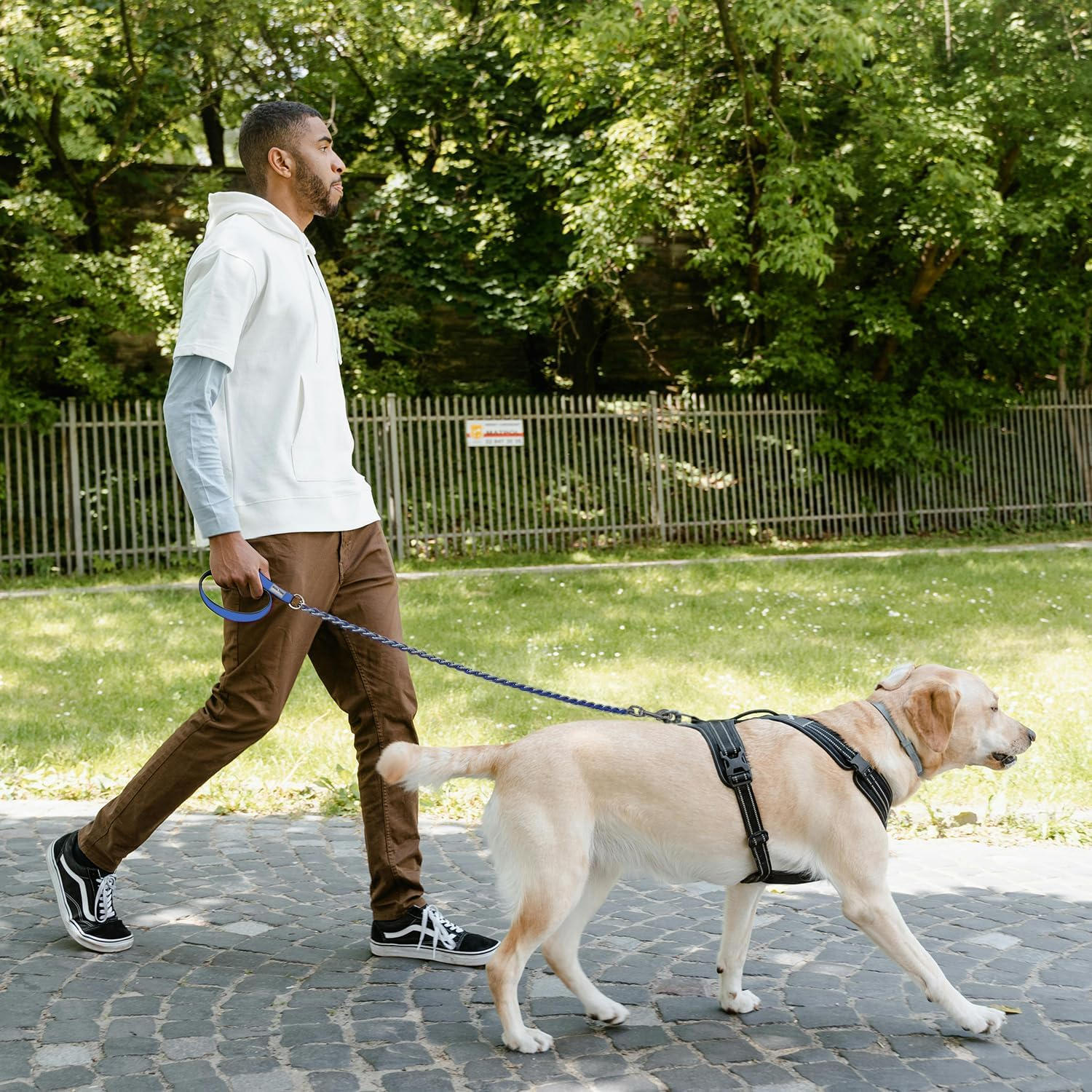 Chain Dog Leash Chew Proof Metal Leash for Medium Large Dogs, Chain Link anti Chew 4FT Strong anti Bite Comfortable Soft Padded Handle Blue 3.0 image number 2