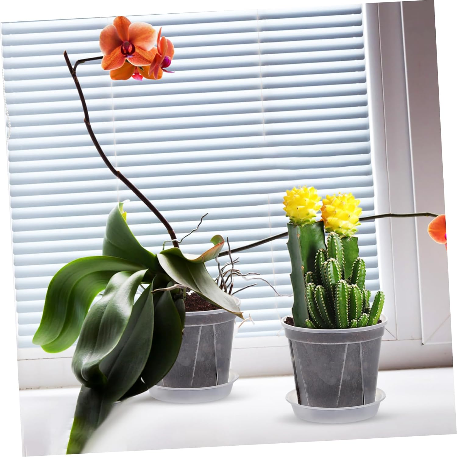 TOBBOMEY 4 Pcs Breathable Root Control Planting Pots with Drainage Trays 0.3 Gallon Plastic Planters for Indoor Orchid and Succulent Gardening image number 6