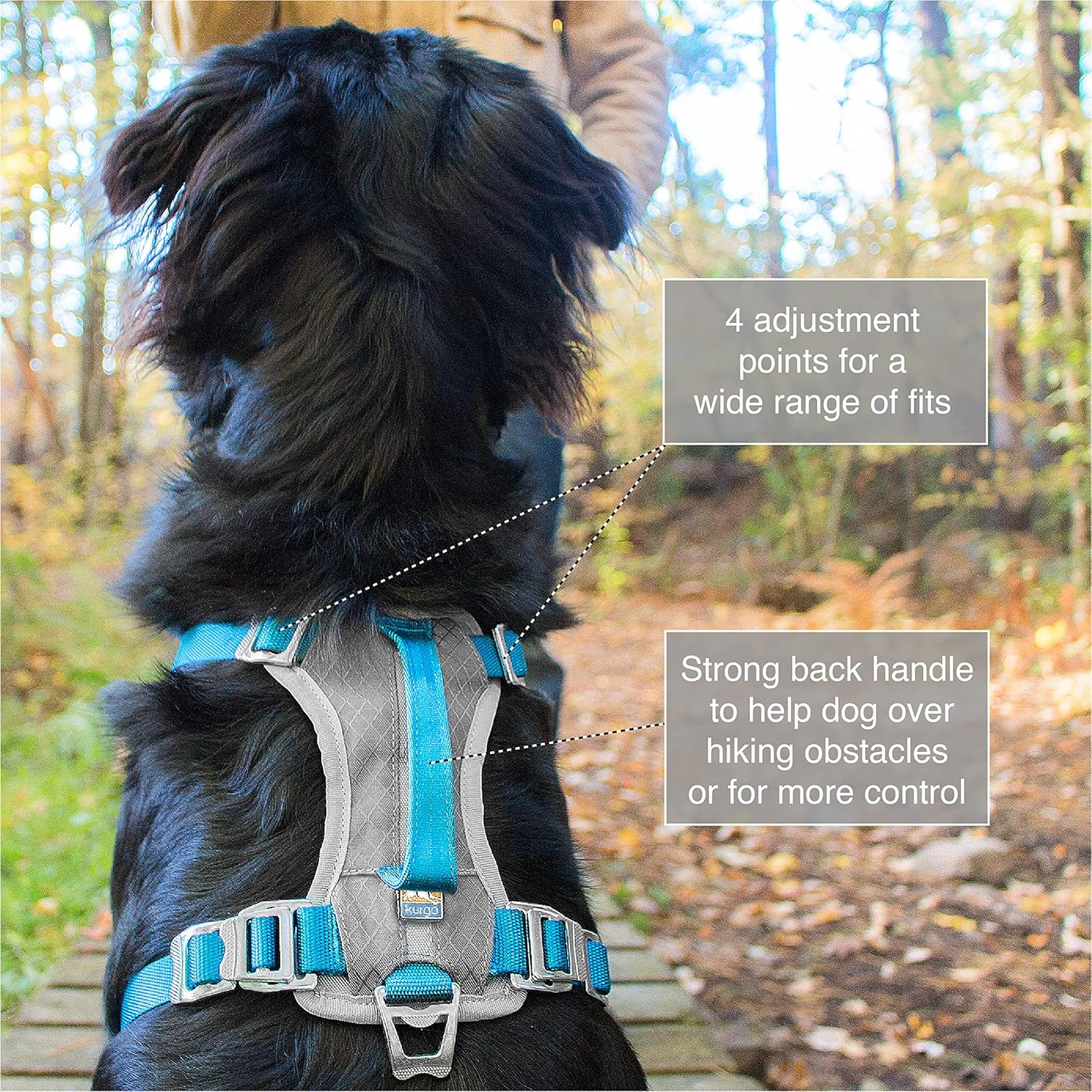 Kurgo Journey &trade; Multi-Use Dog Harness, Reflective Harness, Dog Running Harness, Dog Walking Harness, Dog Hiking Harness, Blue/Grey, Small image number 5