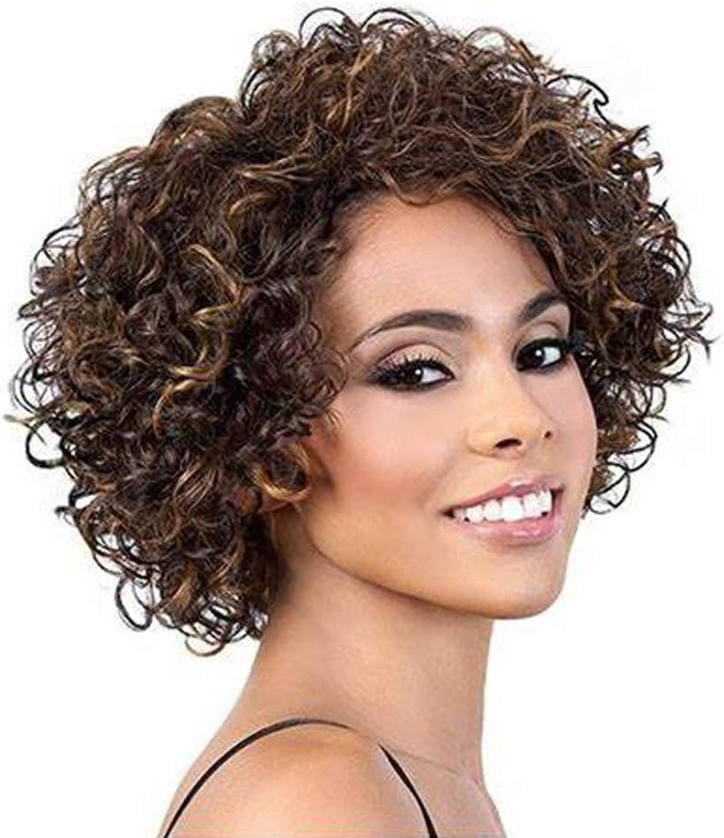 UDU #1B 30 Human Hair Wigs, Ombre Human Hair Wigs for Black Women Afro Kinkys Curly Human Hair Wig 8Inch Black Brown Wig