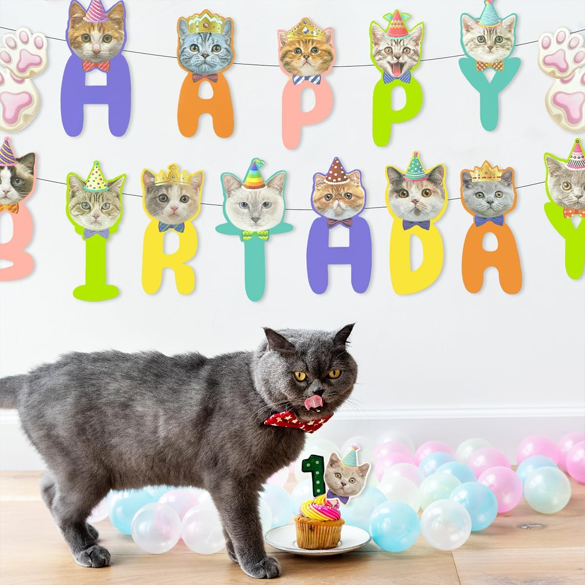 Cat Theme Birthday Party Decorations, 1 Set Kitten Happy Birthday Decorations with Cake Toppers (Colorful) image number 1