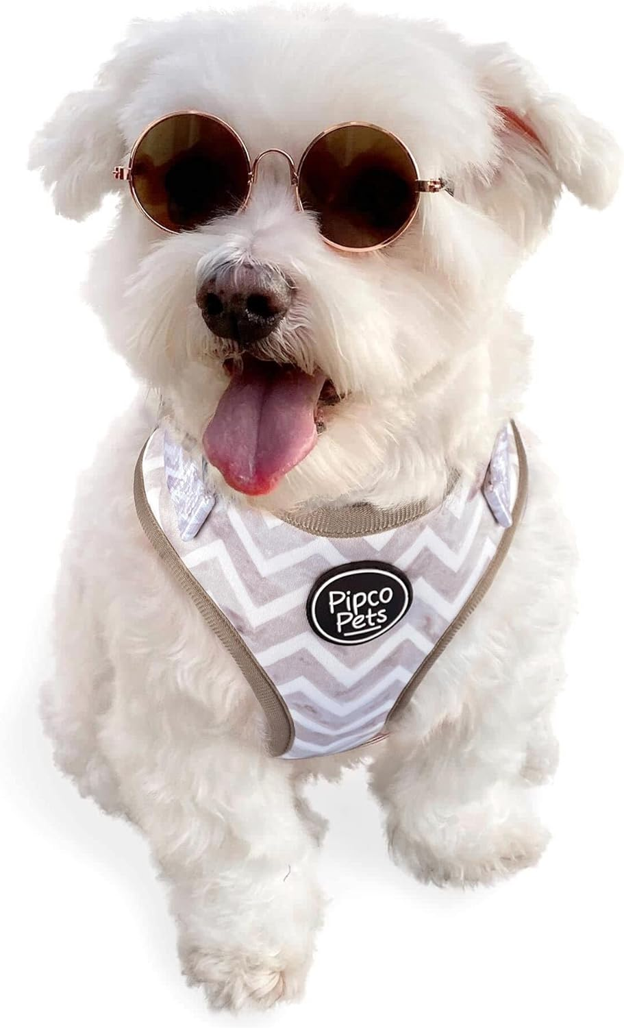 PIPCO PETS - Adjustable Dog Harness | Cute Colourful Patterns | Perfect Fit, Escape Proof Vest | Safe and Secure | Easy On/Off | (Large, Gettin' Ziggy)