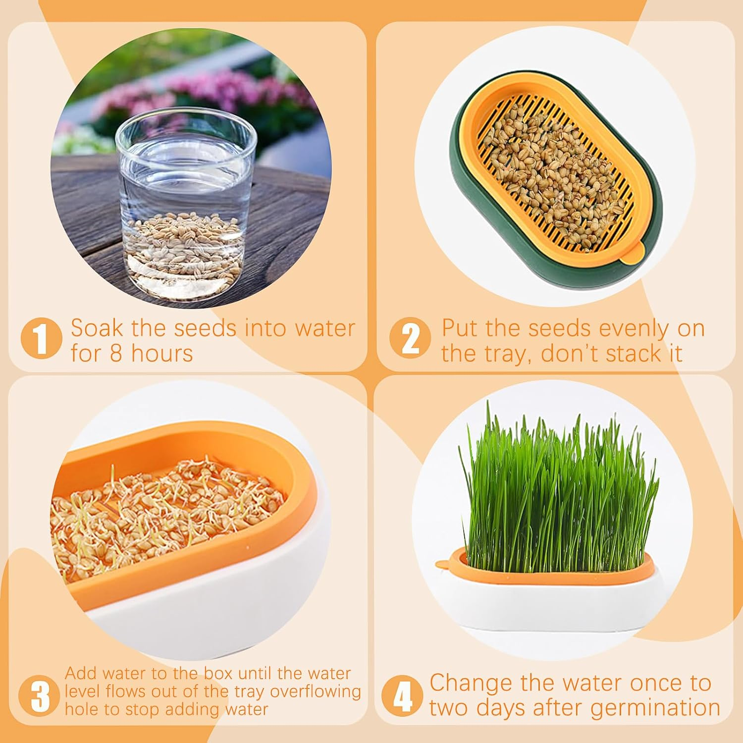 2 Pieces Plastic Catnip Box, Cat Grass Box Tray for Cats, Hydroponic Catnip Planting Box with 6 Seed Bags image number 2