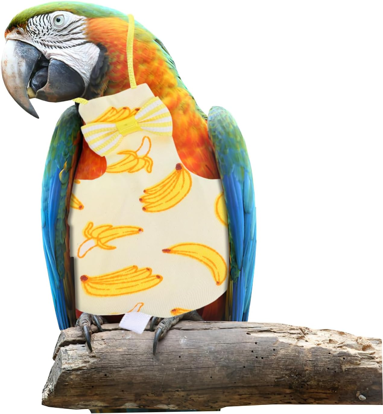 Hohopeti 2Pcs Parrot Diaper Nappy Flight Suit Comfortable and Washable Clothing for Pigeons Lightweight and Skin-Friendly Design for Outdoor Activities S image number 5