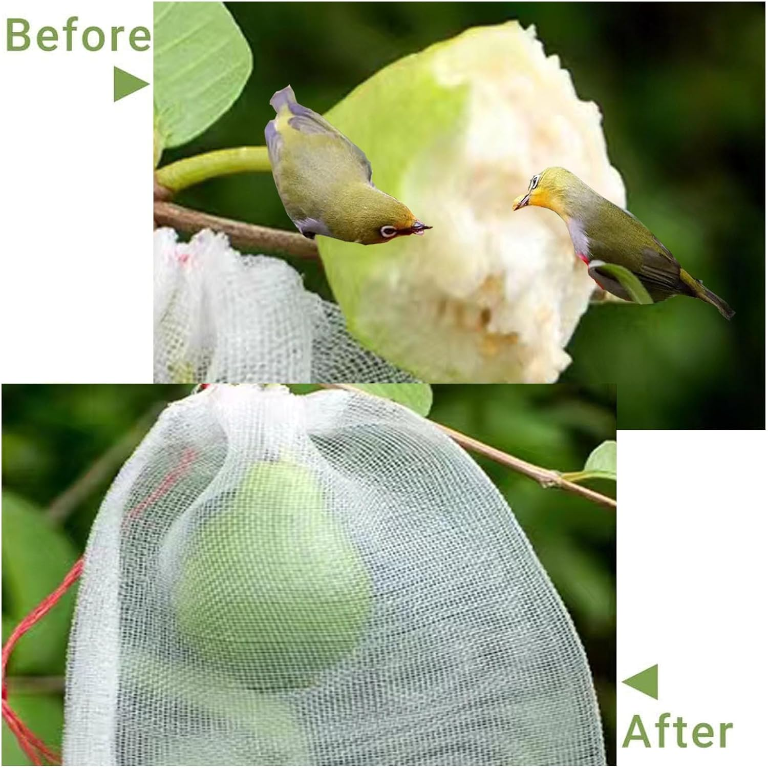 Fruit Protection Bags,100Pcs Reusable Garden Fruit Netting Bags,Drawstring Nylon Mesh Netting Barrier Bag for Protecting Fruits and Vegetables(10X6 Inch) image number 1