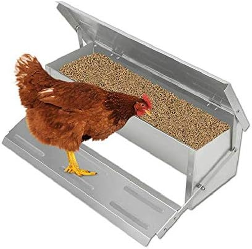 Auto Chicken Feeder Treadle Self Opening Galvanized Chook Poultry image number 1