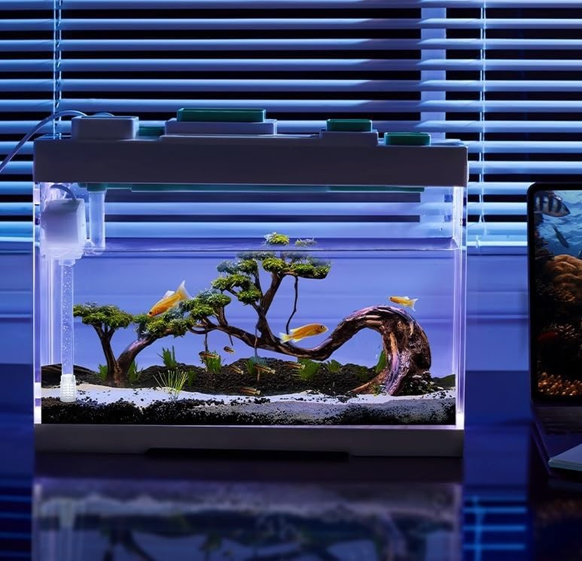 Tabletop Storage Fish Tank - 2 Gallon (9L) Extremely Narrow High Definition Acrylic Aquarium with Silent Pump Filtration System and LED Lights (Greener) image number 5