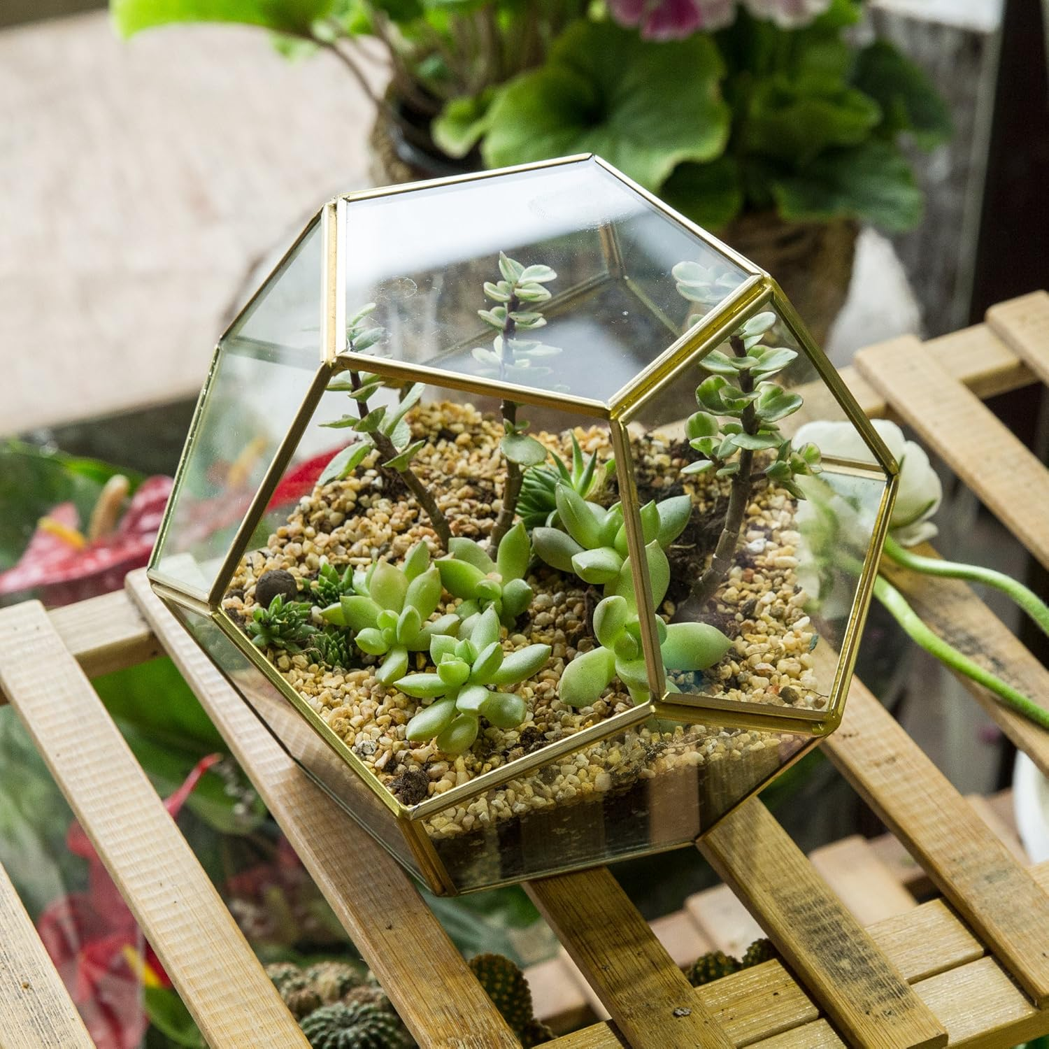 NCYP Brass Glass Pentagon Regular Dodecahedron Geometric Terrarium Container Desktop Planter for Succulent Fern Moss Air Plants Holder Miniature Outdoor Fairy Garden (No Plants,No Door)
