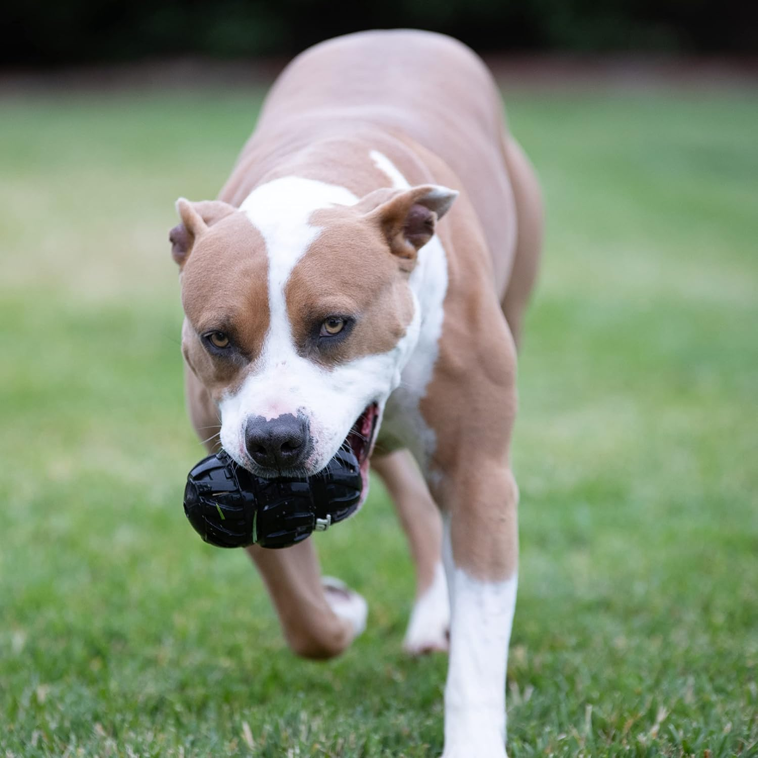 Tonka Tread Feeder Toy, Black, Extra Large image number 5