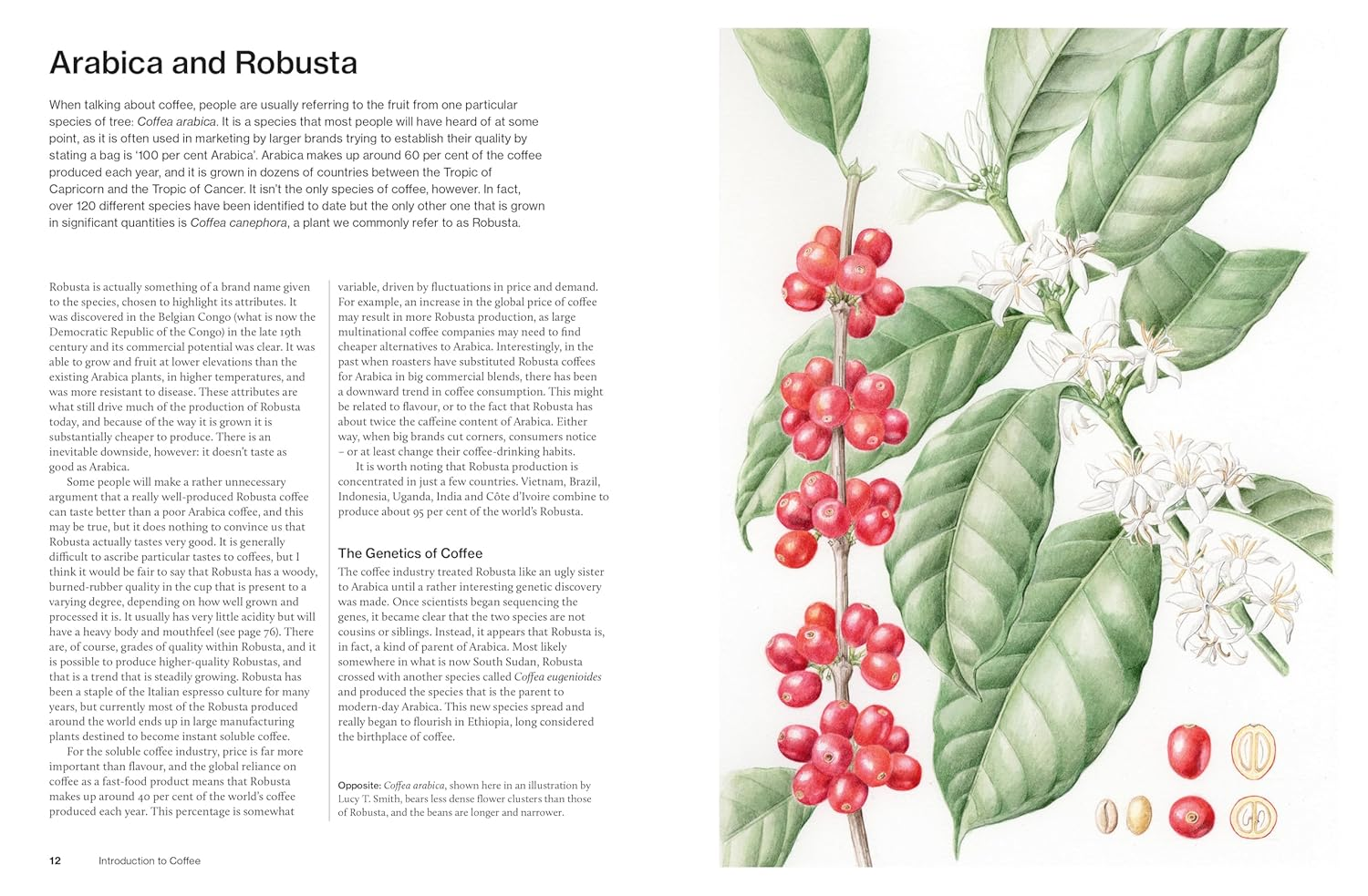 The World Atlas of Coffee 3Rd Edition: from Beans to Brewing Coffees Explored, Explained and Enjoyed image number 1