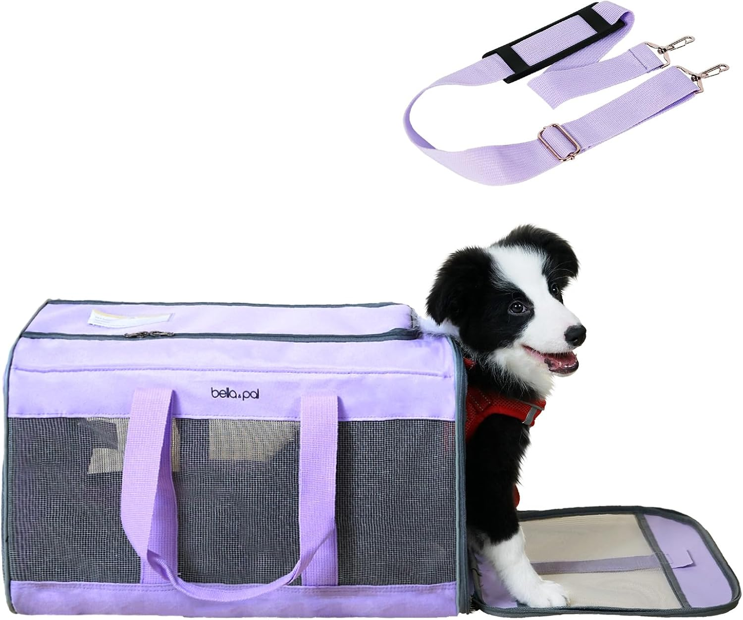 BELLA & PAL Cat Carrier Dog Carriers Airline Approved, Pet Carrier for Small Medium Dogs Cats under 16Lbs, Collapsible Soft Sided Travel Puppy Carrier (Brown, 16.5" L X 11" W X 11" H)