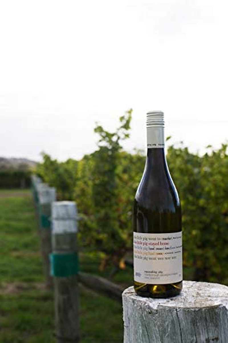 Squealing Pig Marlborough Sauvignon Blanc Wine 750 Ml (Case of 6) image number 3