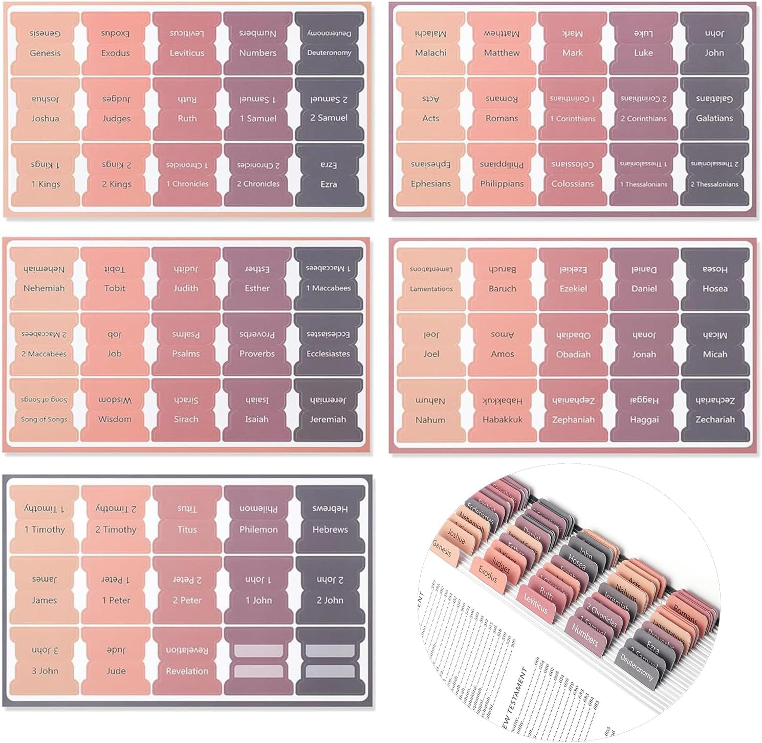 Bible Tabs for Women & Men, 75 Tabs, Laminated Bible Tabs for Study Bible, Large Print Neutral Bible Tabs for Easy Navigation, Boho Theme, Bible Index Tabs Bible Tabs, Boho Theme (C) image number 1