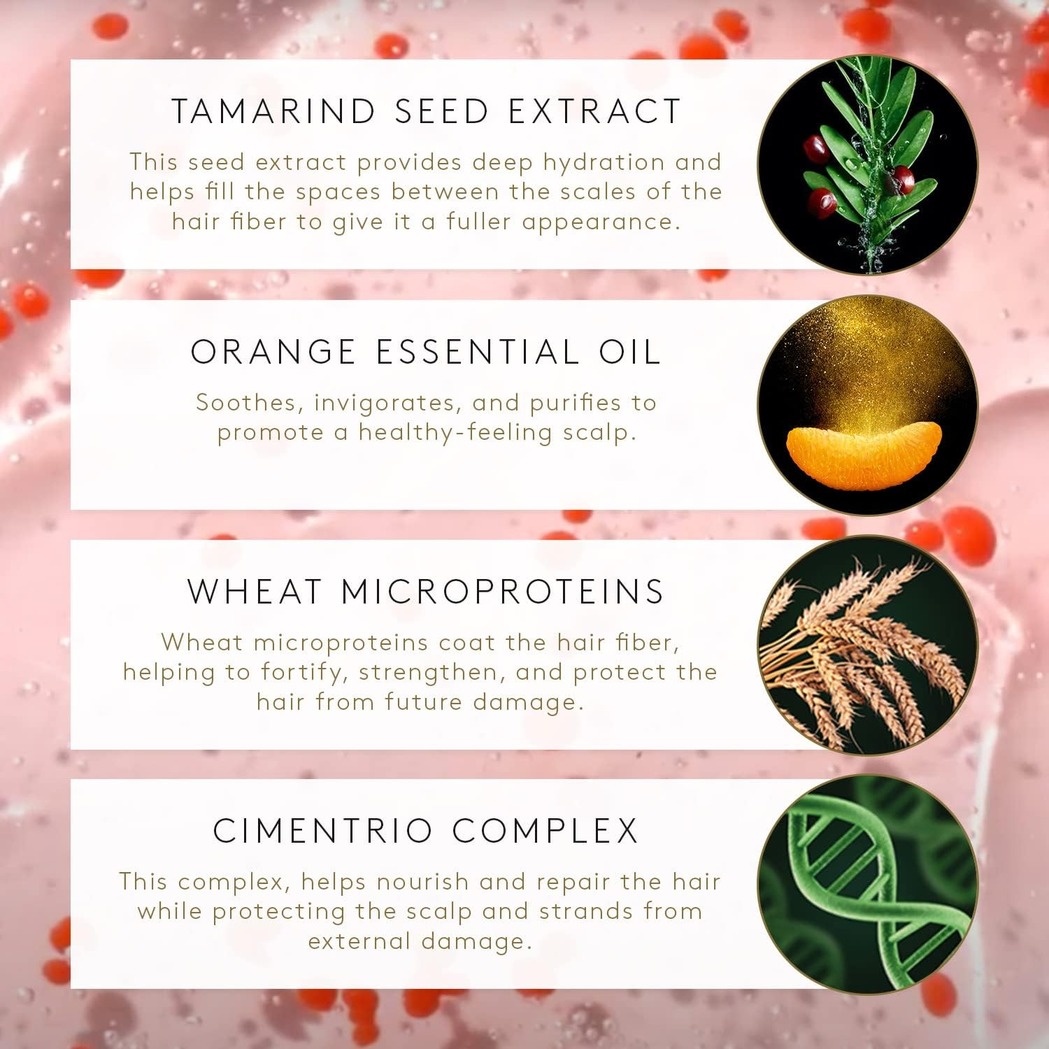 Rene Furterer Tonucia Natural Filler Replumping Conditioning Mask (Thin, Weakened Hair) 200Ml/6.7Oz image number 5