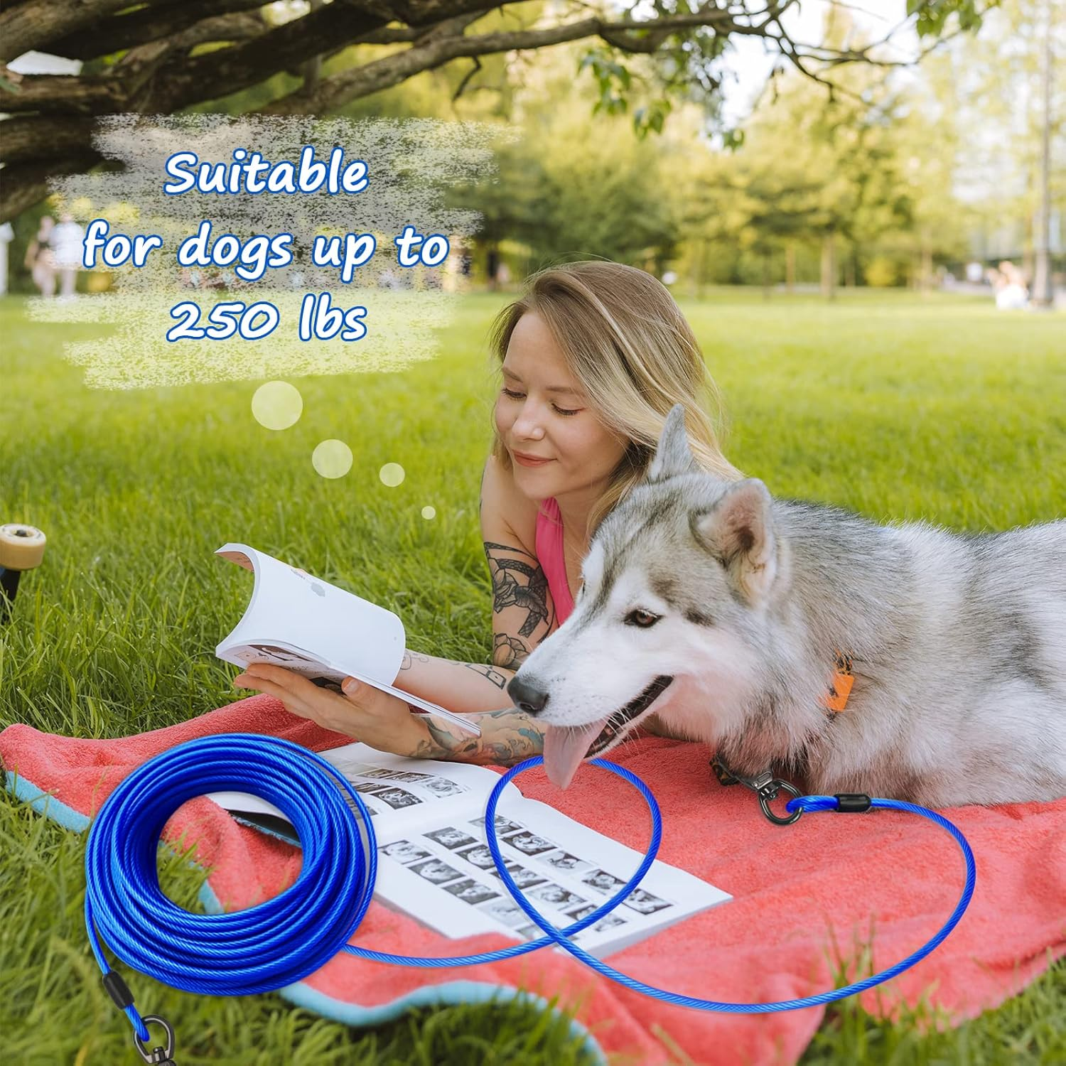 Tie Out Cable with Spring for Dogs - Heavy Duty Dog Leash for Yard & Outdoor Training - 10Ft Blue image number 1