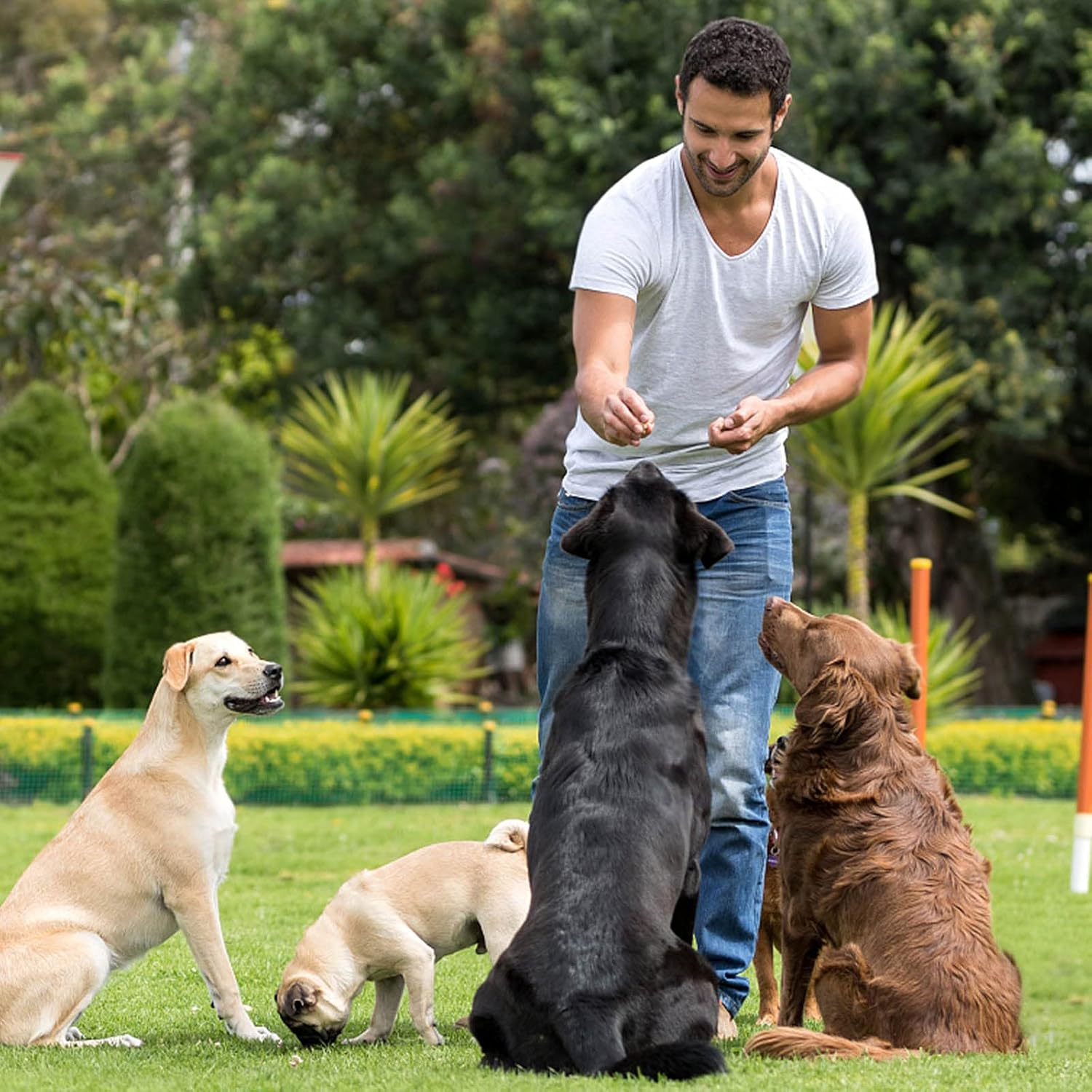 112 Cavity Mini Star Silicone Molds Fun Shaped Chocolate Molds for Homemade Dog Training Treats, Gummies, Candy, Chocolate Chips,Biscuits image number 3