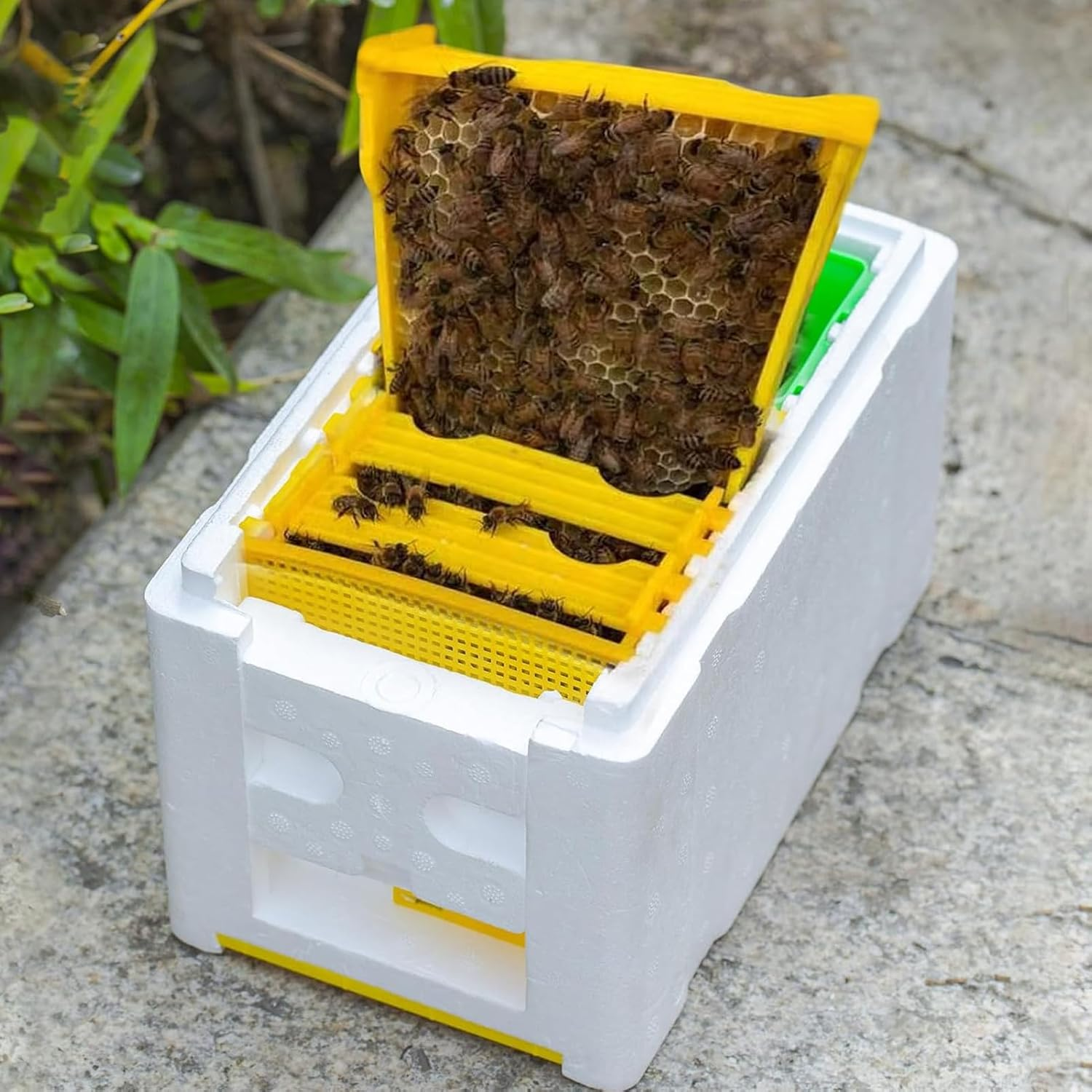 Box for Bees, Pollinator House Kit, Beekeeping Starter Set, Insulated Design, Easy Assembly, 24X15X16.5Cm, for Farm, Pollinating, Mating, Breeding, Winter, Harvest, Backyard, Patio image number 3