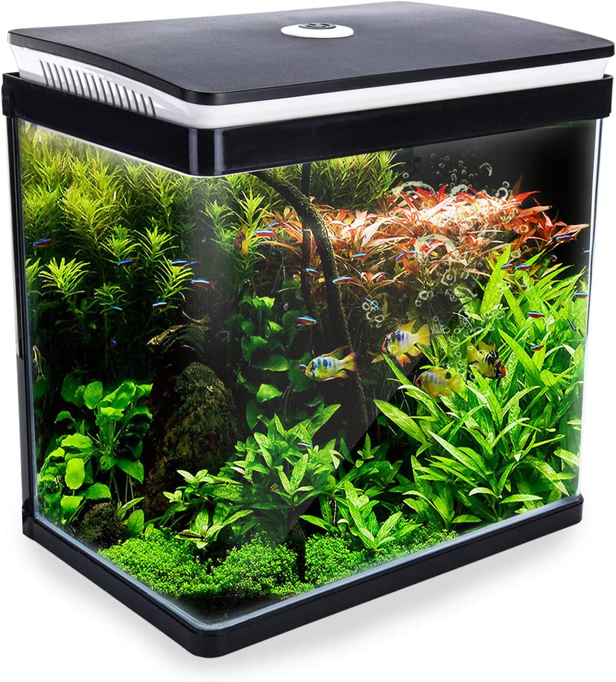 Dynamic Power 30L Curved Glass Aquarium Fish Tank with 5W RGB LED Light, 2.5W Filter Pump, Hinged Hood, Complete Filtration System, Freshwater & Saltwater Compatible image number 1