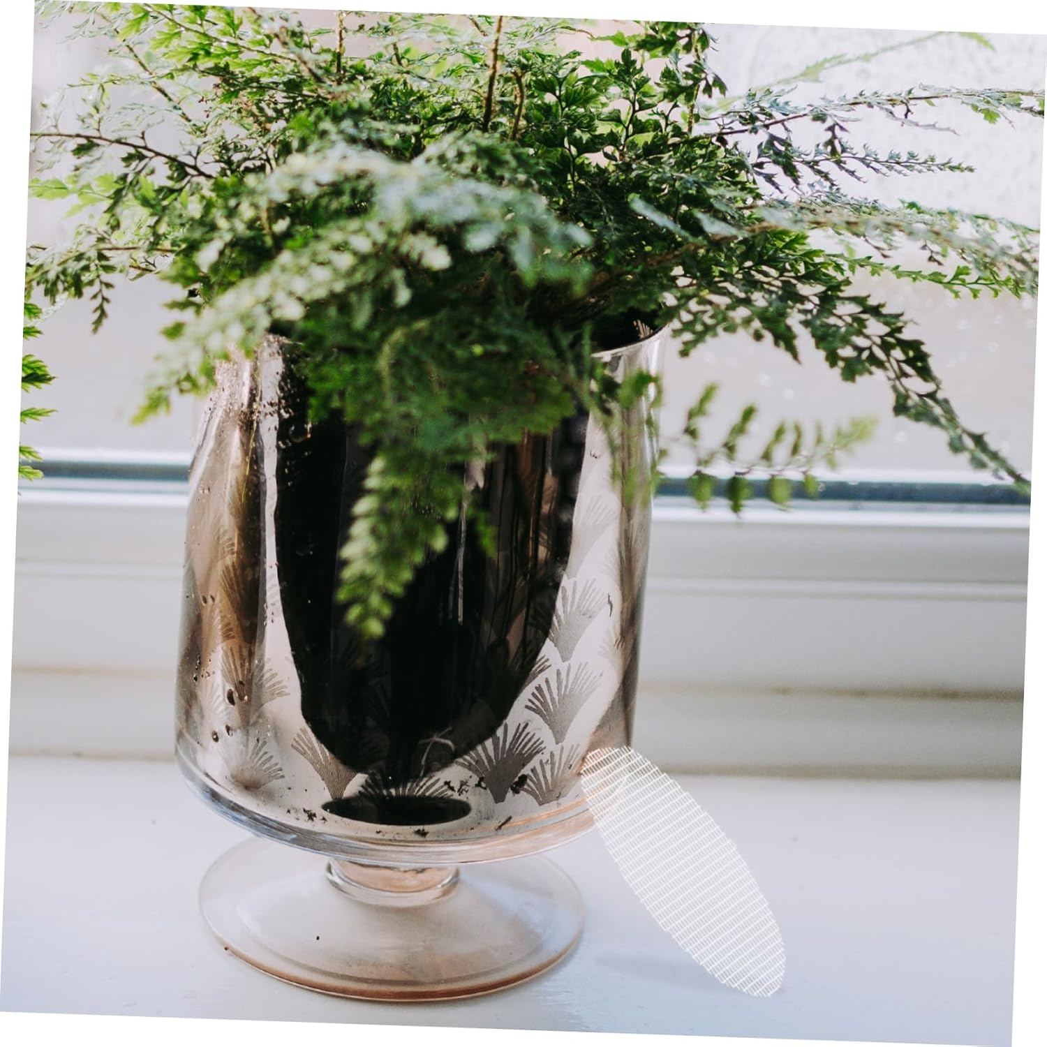 BEBEMOKO 20Pcs Screen Mesh Drainage Gasket for Plant Pots Indoor Outdoor Pot Hole Mesh Pads for Gardening Accessory image number 5