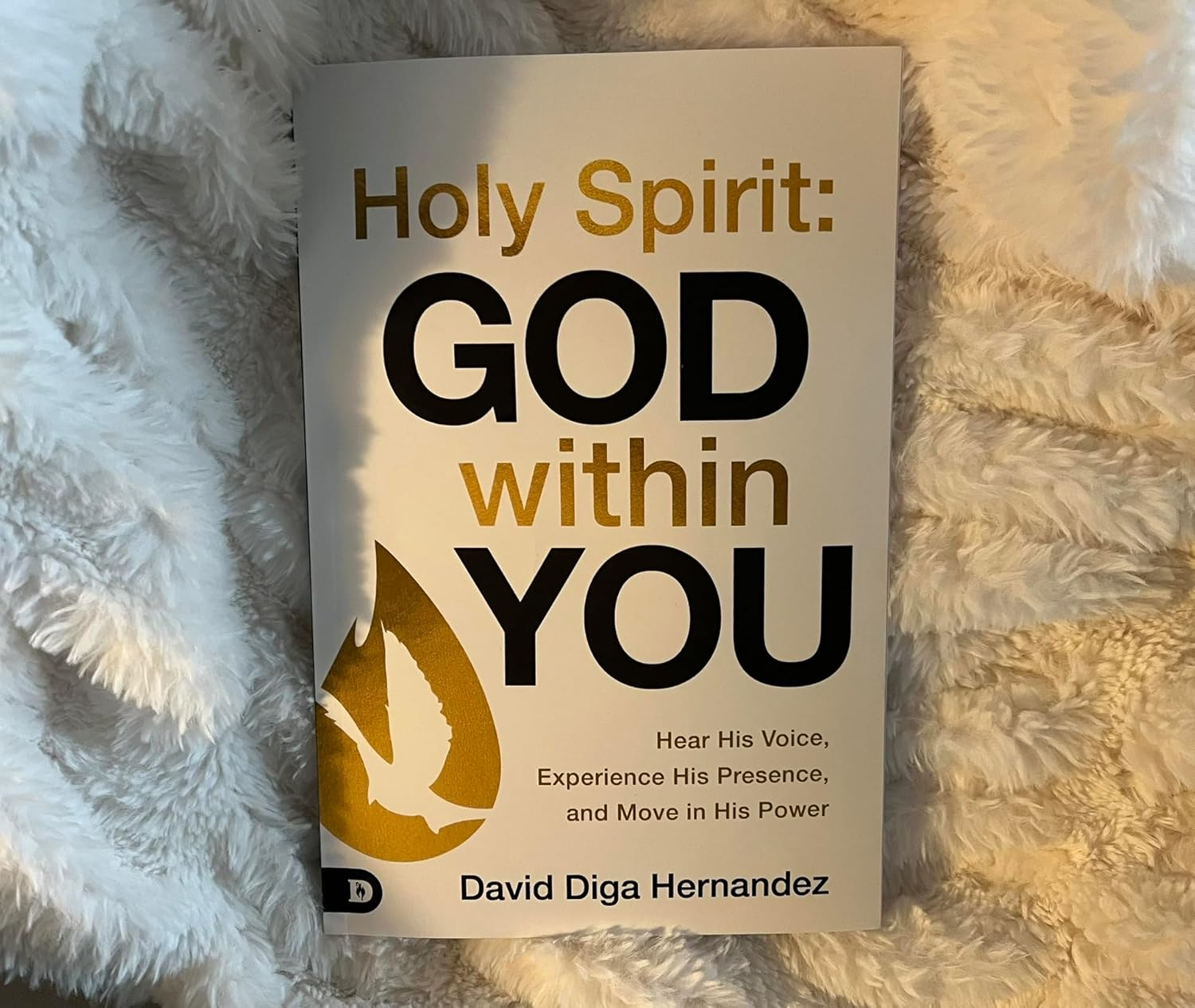 Holy Spirit: God within You: Hear His Voice,Experience His Presence,And Move in His Power image number 1