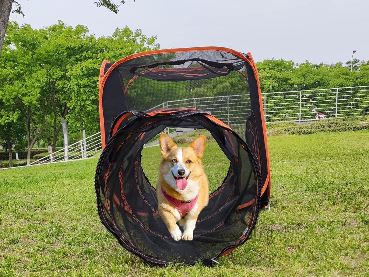 Outdoor Cat Enclosures - 6-In-1 Pop up Tent with Tunnels for Outdoor Pets, Portable Playpen for Cats, Rabbits, Puppy and Small Animals image number 5