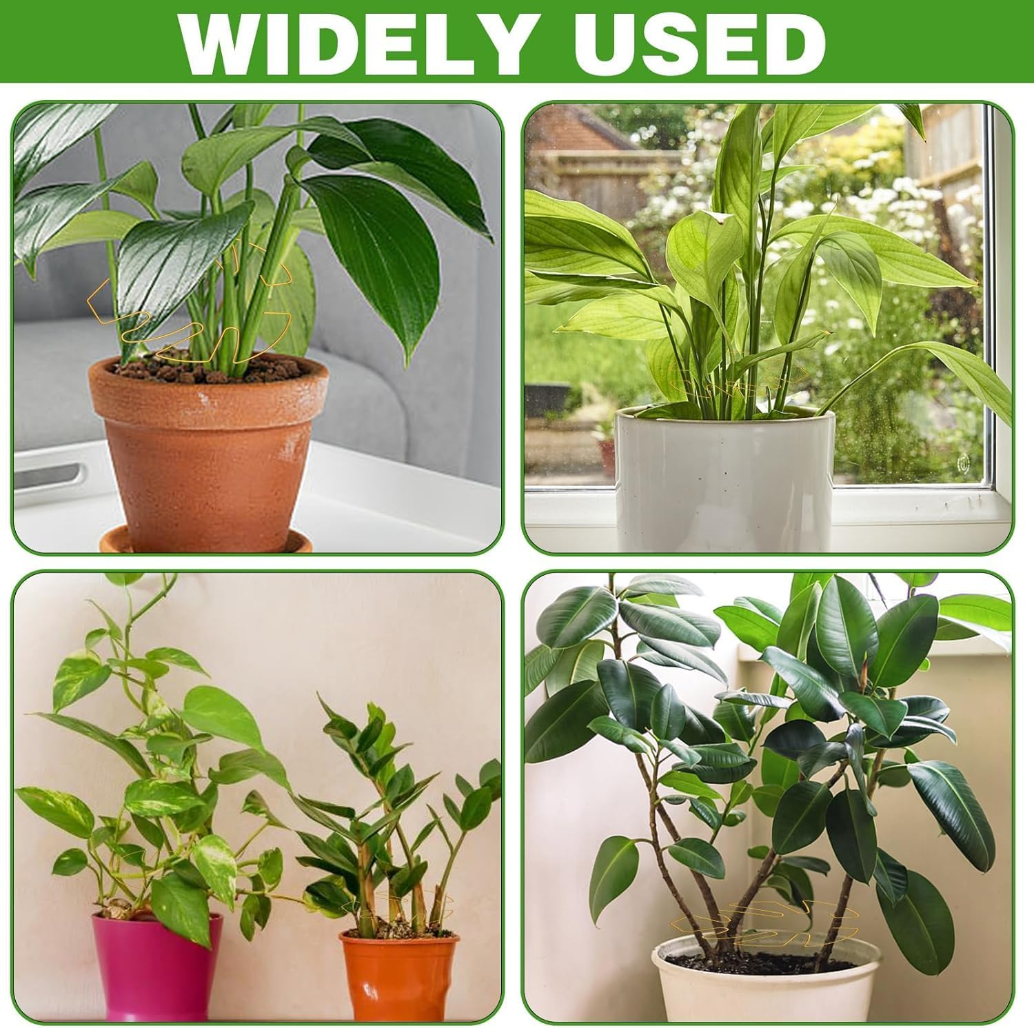 Metal Monstera Plant Support Stabilizer, 4Pcs Indoor Outdoor Plant Holder, Metal Monstera Stabilizer Grapple Holder, Monstera Stabilizer Grapple Holder, Metal Monstera Plant Support image number 4