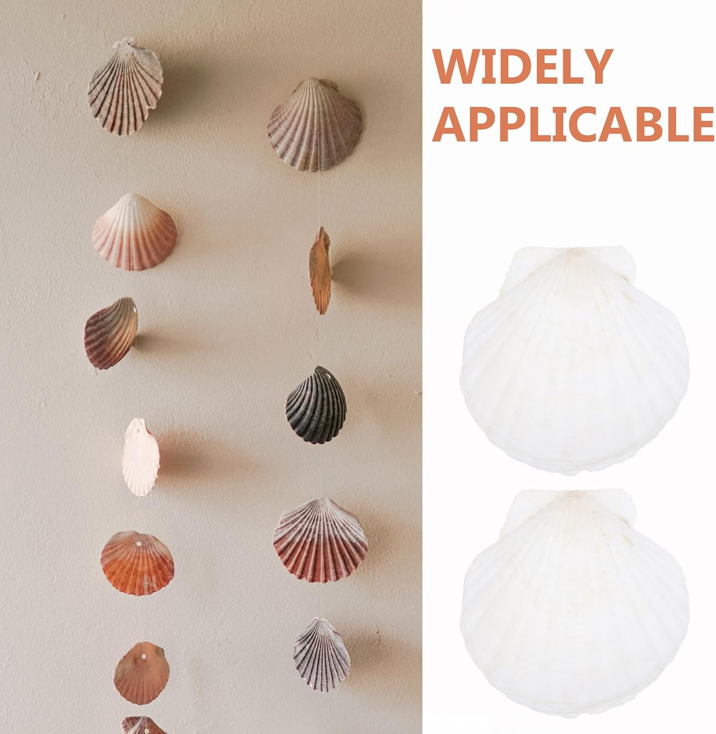 NOLITOY 40 Pcs Natural Shell Decoration Ocean Ornaments Sea Shell Christmas Ornaments Nautical Party Favors Desk Topper Scallop White Decorations Seashells for Crafts Bead Large Seaside image number 6