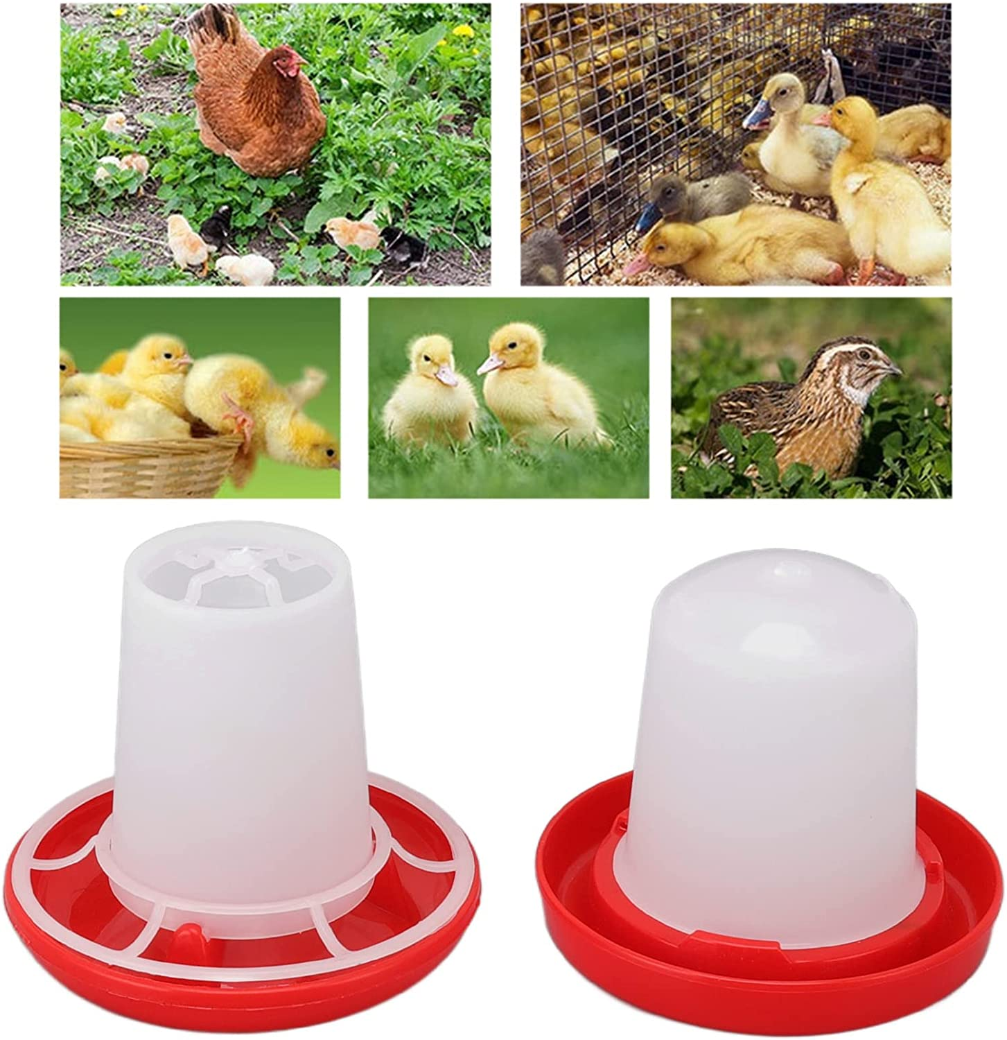 Chick Feeder and Drinker Kit, Easy Clean Plastic Automatic Feeding and Watering Feeder for Chicks image number 5