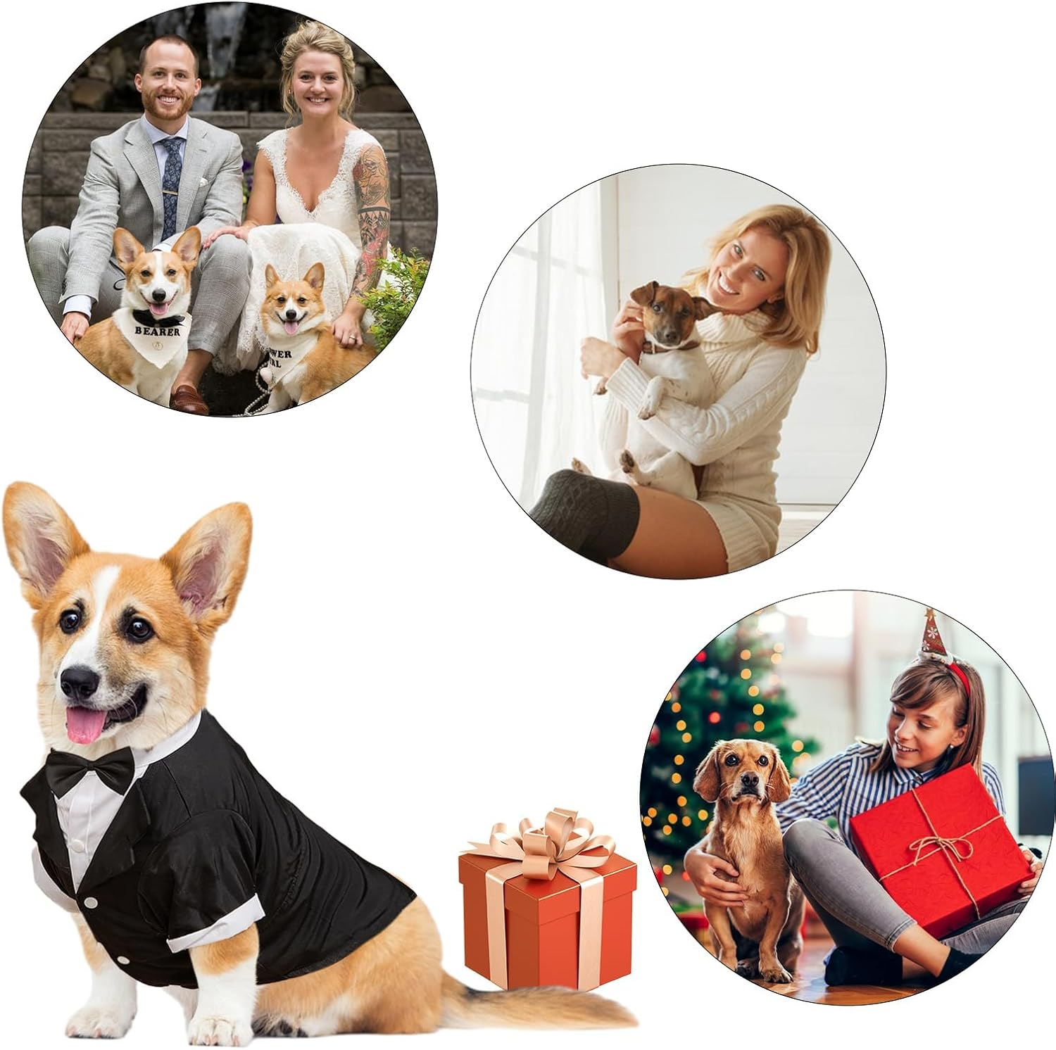 Dog Formal Outfit Wedding Tux with Bowtie Dog Tuxedo Dog Suit Set Breathable and Soft Dog Shirt Suitable for Small Medium Large Dog Pets Black (L) image number 3