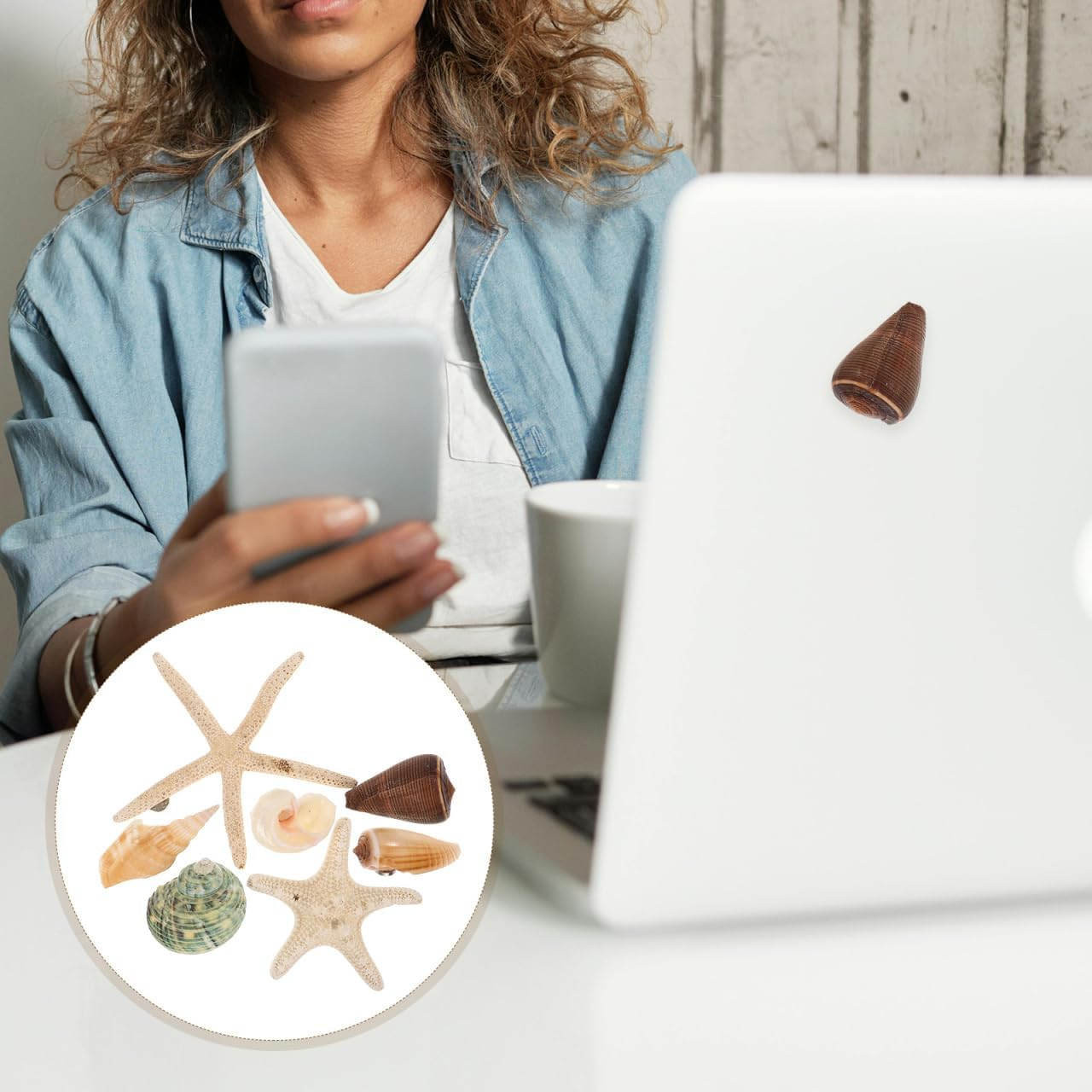 STOBOK 7PCS Shell Magnets Refrigerator Magnets Decorative Fridge Magnets Seashells Oysters Magnetic Decals for Home Kitchen Office, Random Style