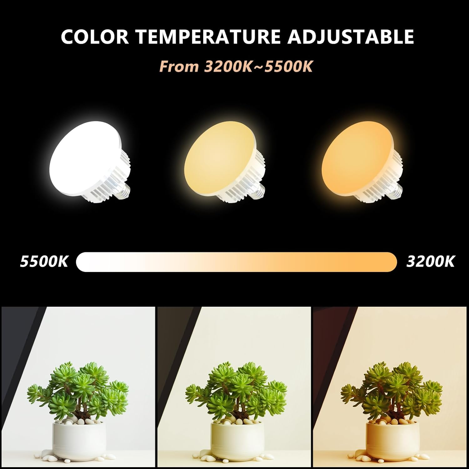 MSKIRA Softbox Lighting Kit Professional Photography 2X85W Bi-Color Dimmable LED Continuous Light Studio Equipment for Portrait Product Fashion Shooting image number 6