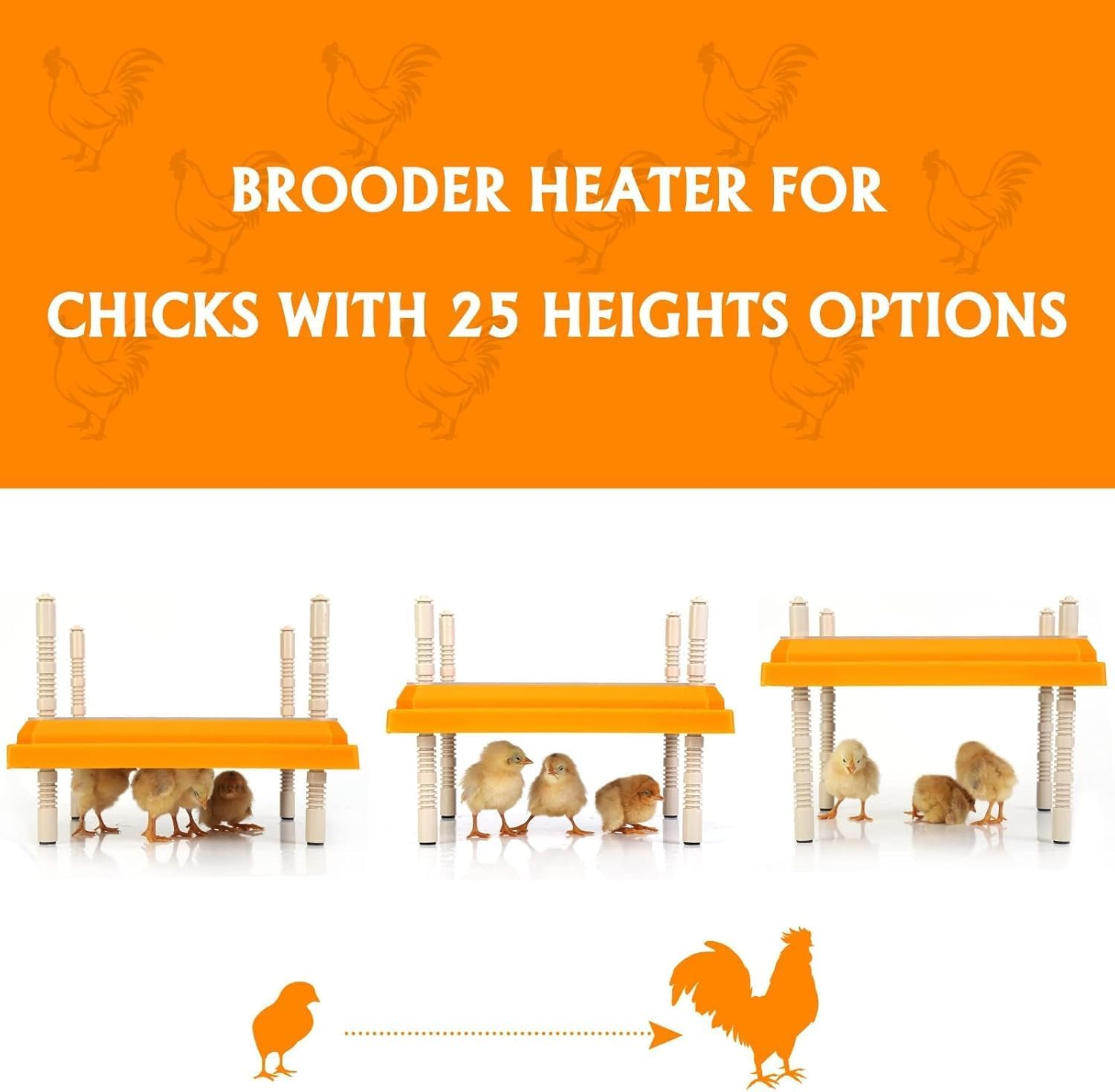 Brooder Heater for Chicks,Chick Brooder Heating Plate with Easy Cleaning Plate Poultry Coop Heater Chicks Warmer 12" X 12" for 20 Chicks Adjustable Height Brooding Heater 22 Watts