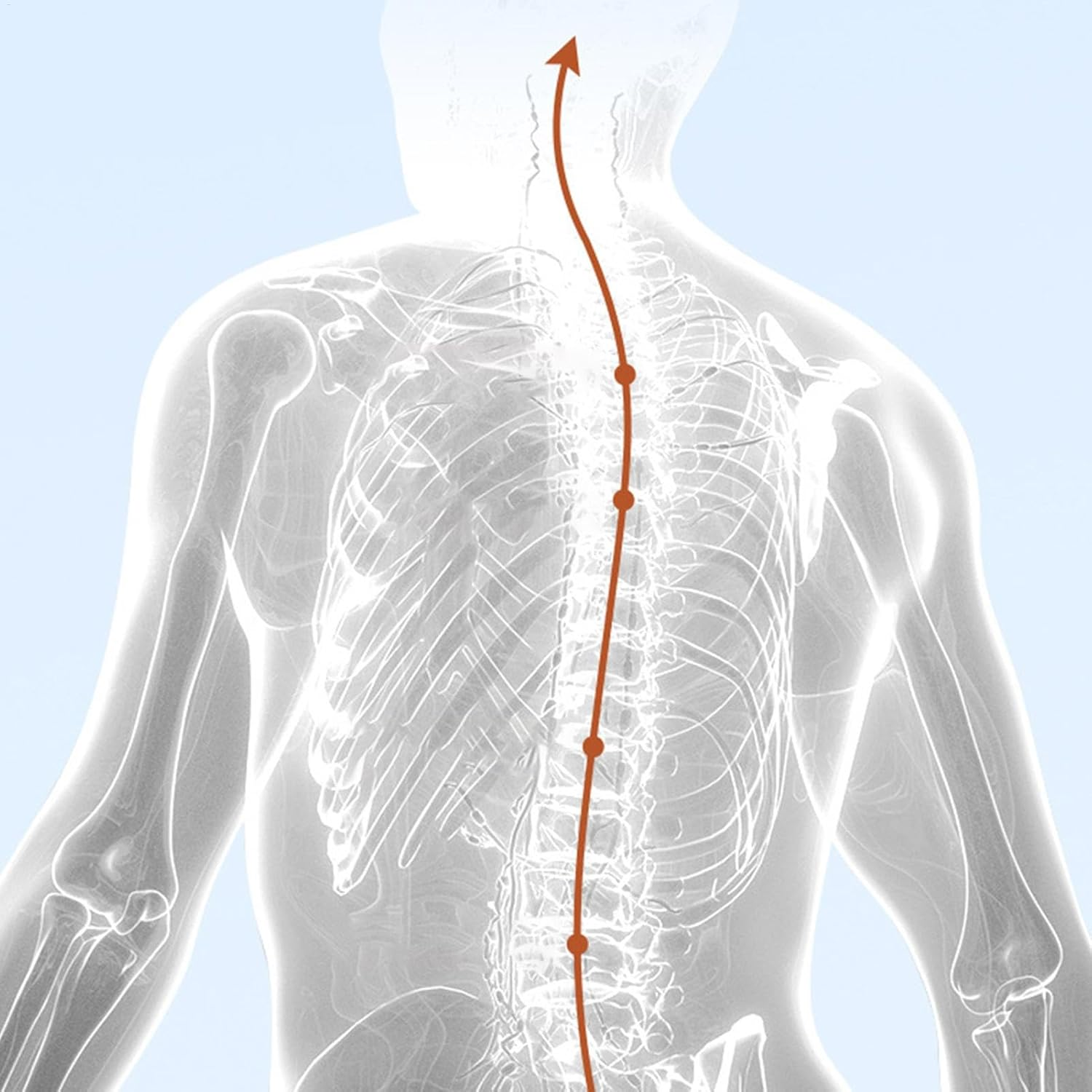 Posture Corrector Monitor | USB Charging Back Posture Corrector with Alarm - Home School Business Skin-Friendly Appliance Built-In Sensor for Studying, Working - Black image number 6