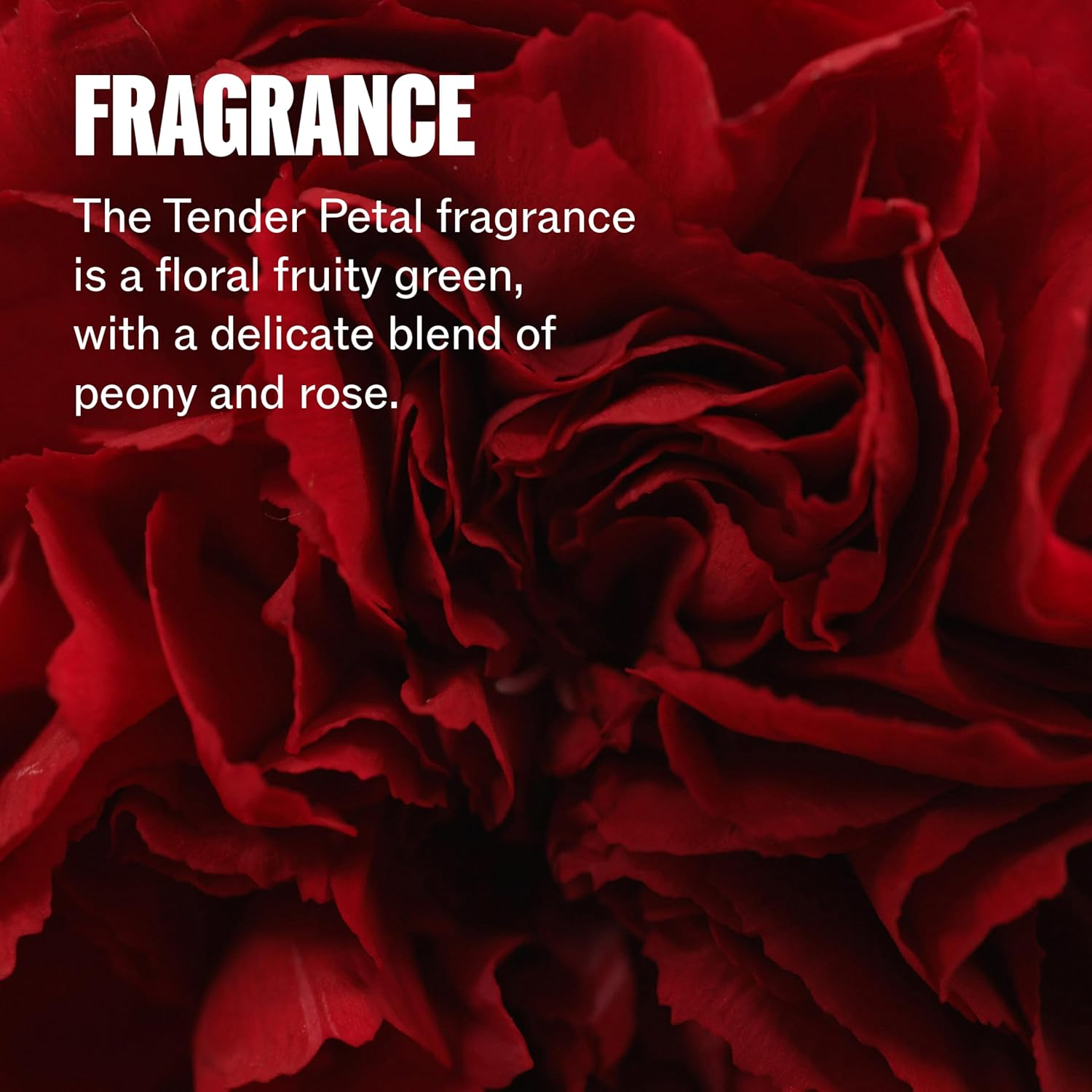 Wella Professionals ULTIMATE REPAIR 5-In-1 Protective Leave-In Treatment for Damaged Hair | Repairs, Smoothens Frizz, UV & Heat Protectant | for All Hair Types | 3.2 Fl Oz